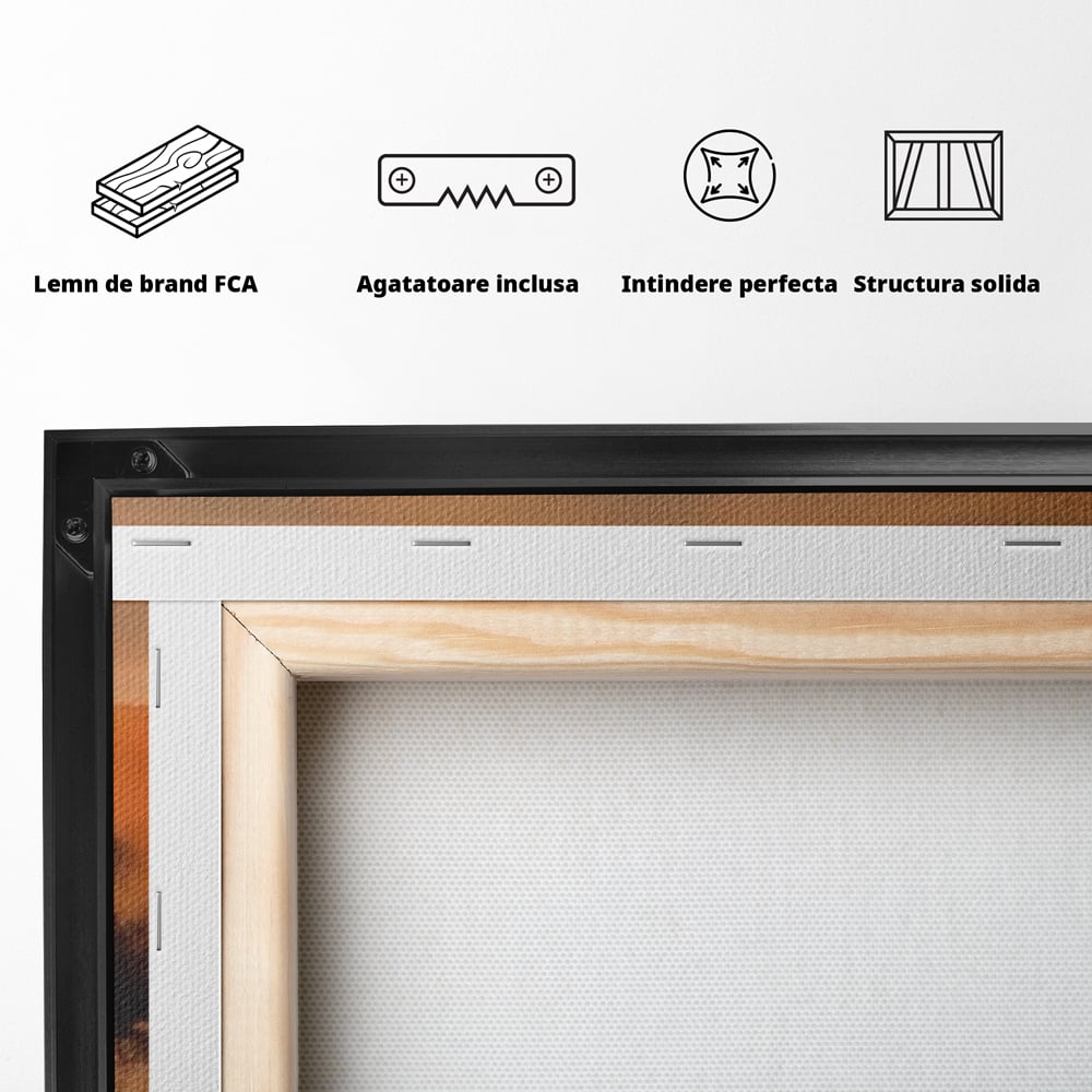 Tablou Canvas Premium LuxCanva® A1610, Lumina Si Intuneric , Room, Decorativ, Peisaj Abstract, Dormitor, Culori Vibrante
