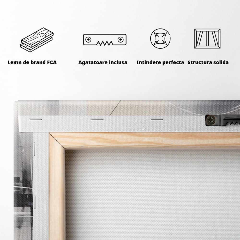 Tablou Canvas Premium LuxCanva® A1612, Non-Culori , Room, Abstract, Sfera, Univers, Decorativ, Dormitor, Culori Vibrante