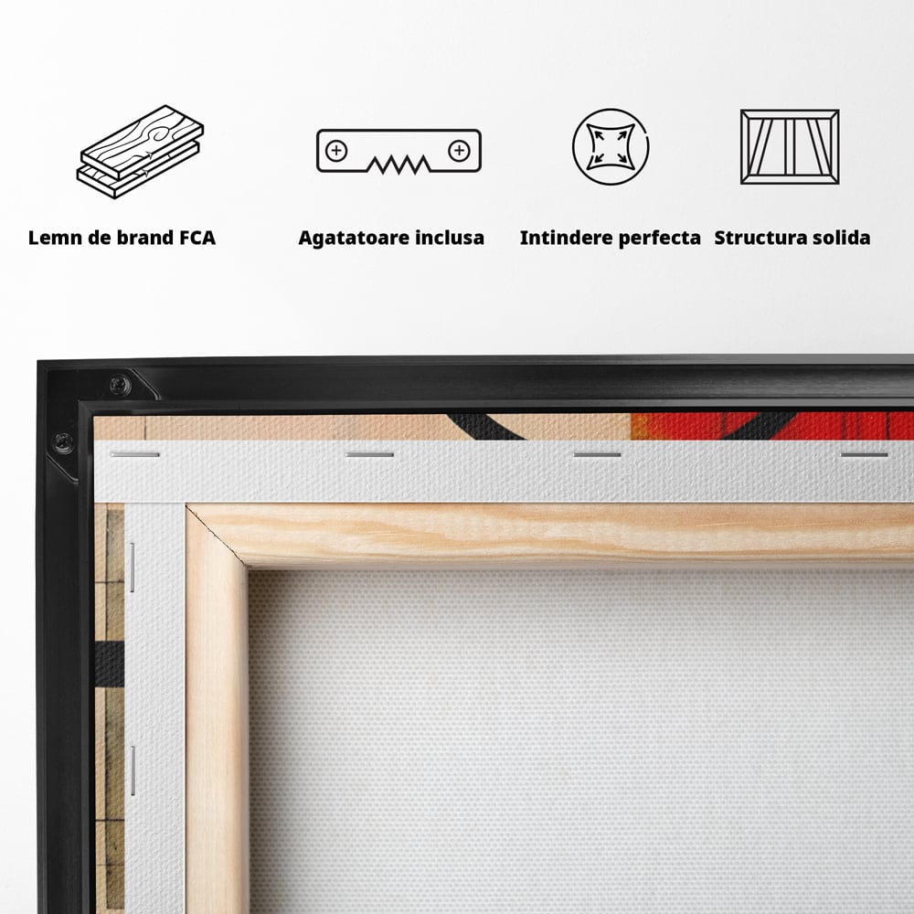 Tablou Canvas Premium LuxCanva® A1614, Abstractie In Desen , Living, Cerc, Sfera, Decorativ, Dormitor, Culori Vibrante