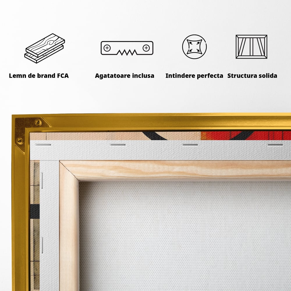 Tablou Canvas Premium LuxCanva® A1614, Abstractie In Desen , Living, Cerc, Sfera, Decorativ, Dormitor, Culori Vibrante