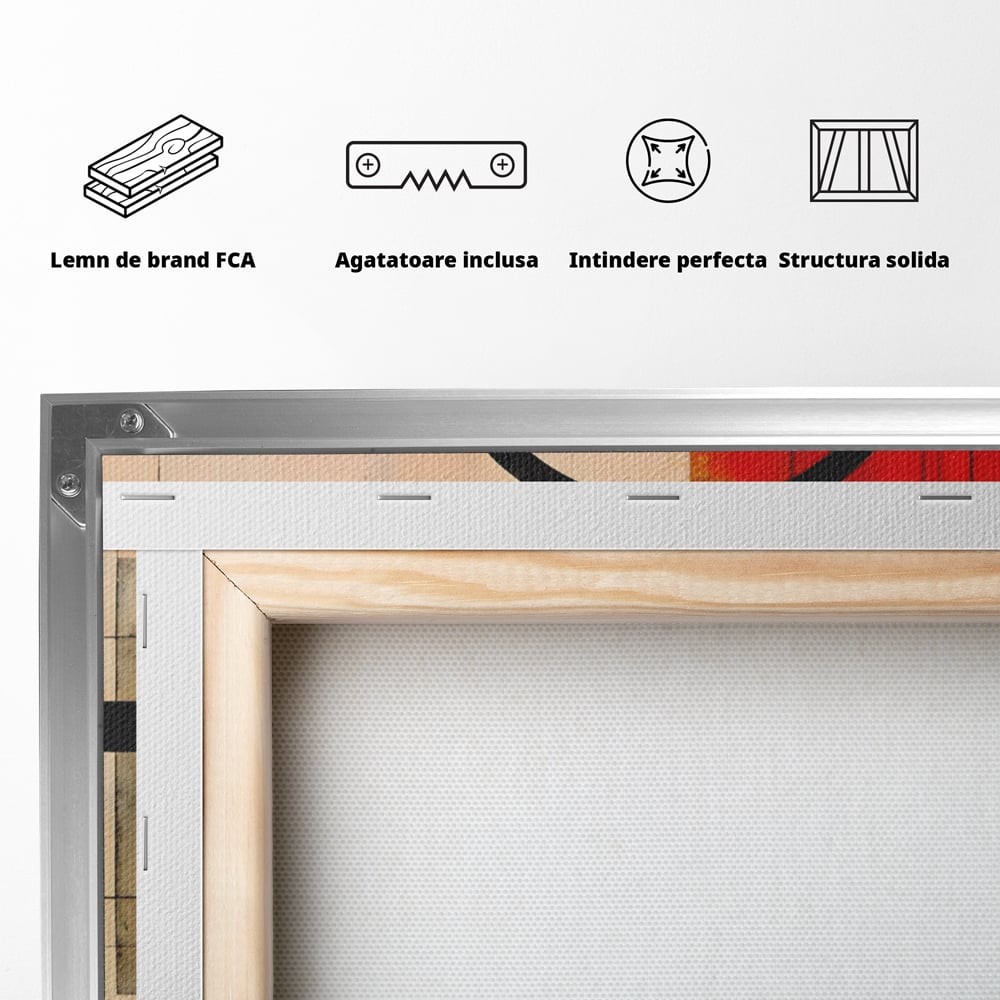 Tablou Canvas Premium LuxCanva® A1614, Abstractie In Desen , Living, Cerc, Sfera, Decorativ, Dormitor, Culori Vibrante