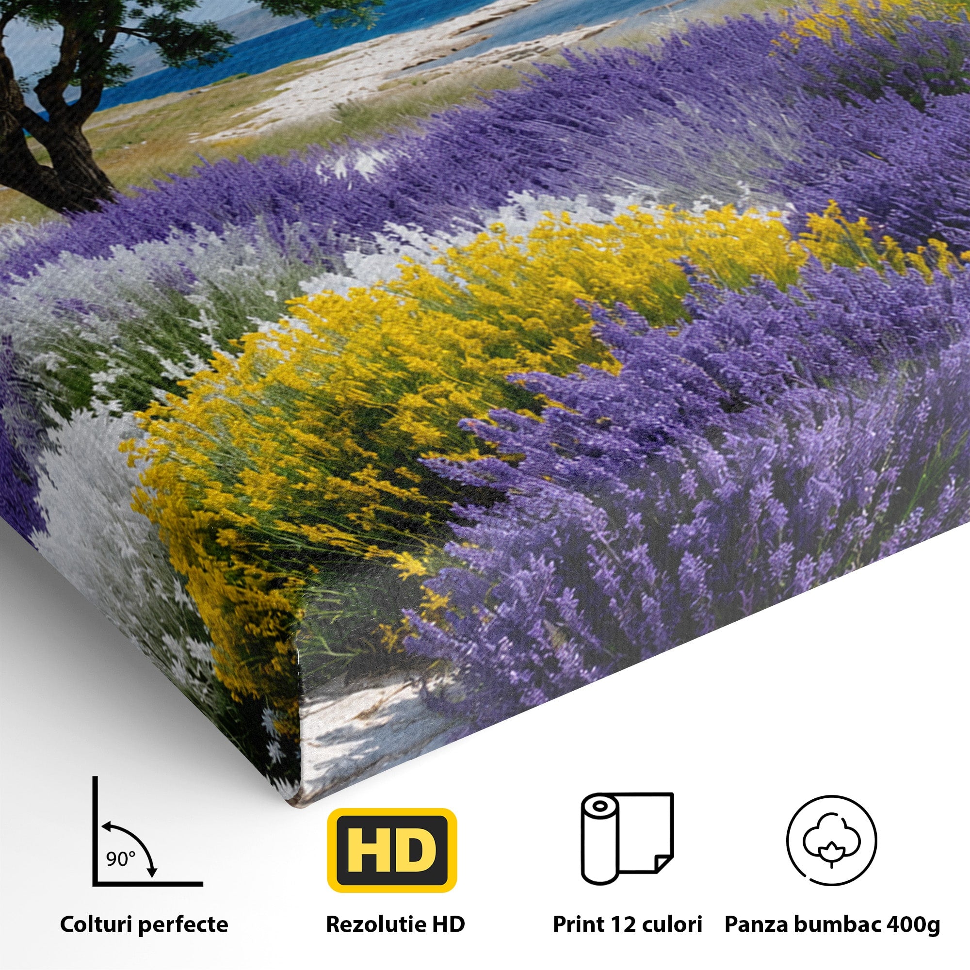 Tablou Canvas Premium LuxCanva® A1665, Peisaj De Vara Cu Lavanda, Peisaj, Lavanda, Copac, Natura, Vara, Living, Dormitor, Culori Vibrante