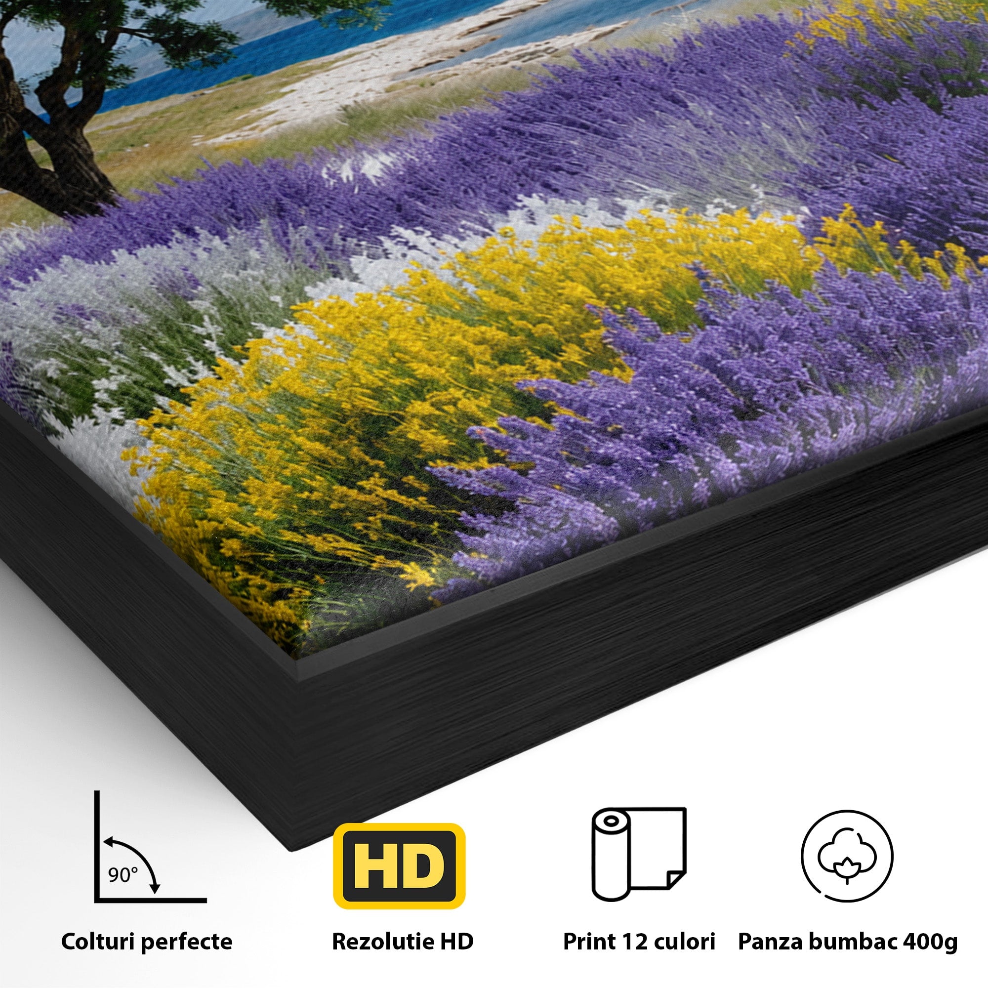 Tablou Canvas Premium LuxCanva® A1665, Peisaj De Vara Cu Lavanda, Peisaj, Lavanda, Copac, Natura, Vara, Living, Dormitor, Culori Vibrante