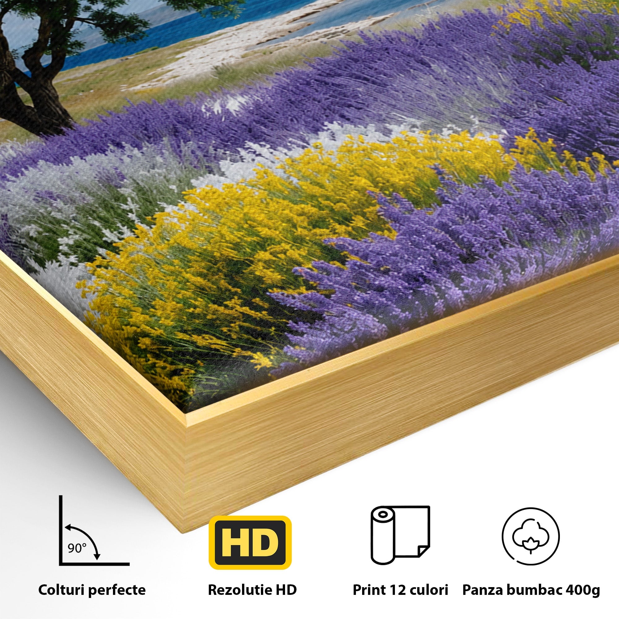 Tablou Canvas Premium LuxCanva® A1665, Peisaj De Vara Cu Lavanda, Peisaj, Lavanda, Copac, Natura, Vara, Living, Dormitor, Culori Vibrante
