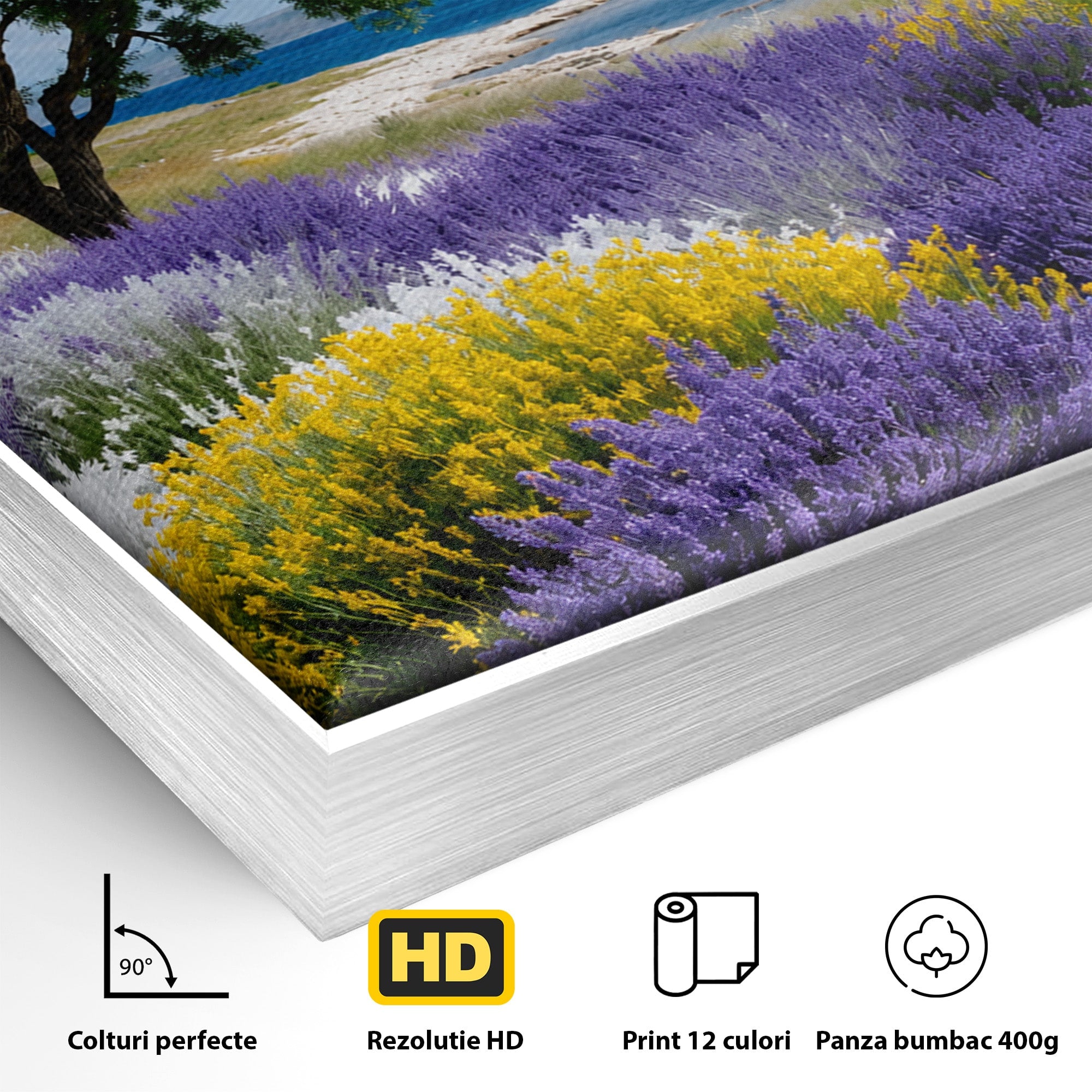 Tablou Canvas Premium LuxCanva® A1665, Peisaj De Vara Cu Lavanda, Peisaj, Lavanda, Copac, Natura, Vara, Living, Dormitor, Culori Vibrante