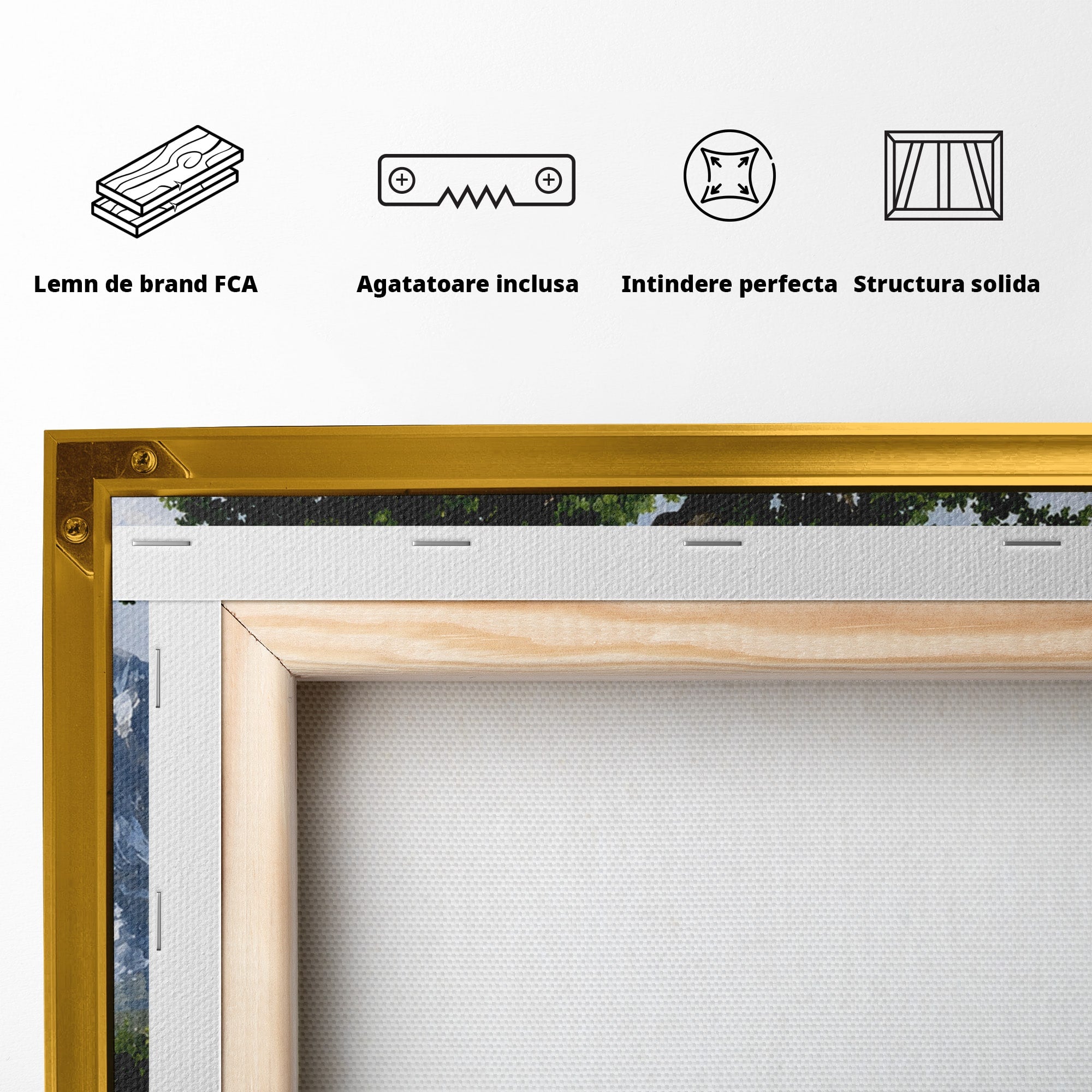 Tablou Canvas Premium LuxCanva® A1669, Muntele si Cascada, Munte, Cascada, Natura, Peisaj, Living, Culori Vibrante