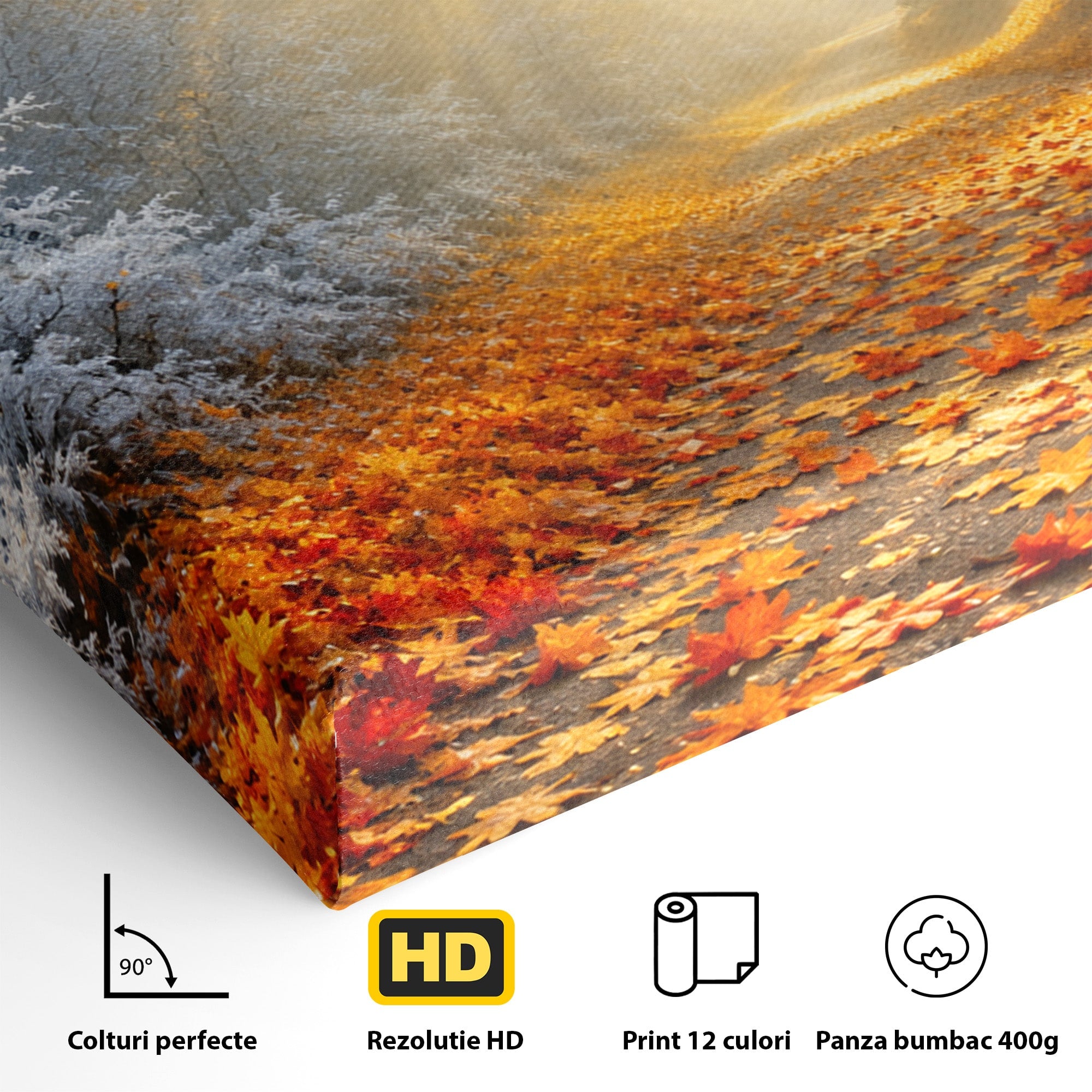 Tablou Canvas Premium LuxCanva® A1686, Aleea De Toamna, Toamna, Padure, Frunze, Natura, Living, Dormitor, Culori Vibrante