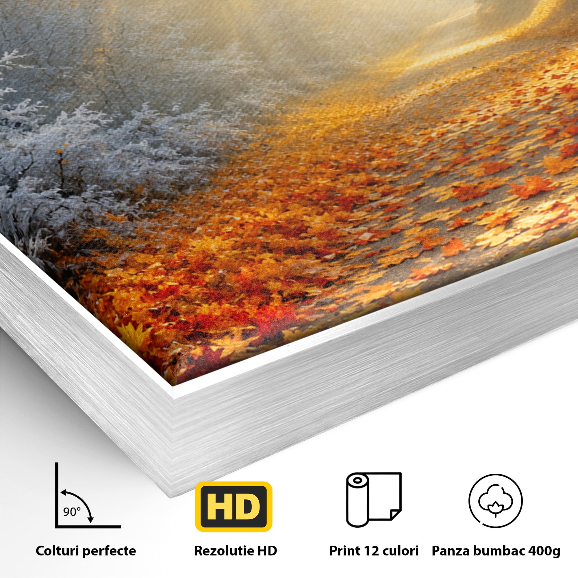 Tablou Canvas Premium LuxCanva® A1686, Aleea De Toamna, Toamna, Padure, Frunze, Natura, Living, Dormitor, Culori Vibrante