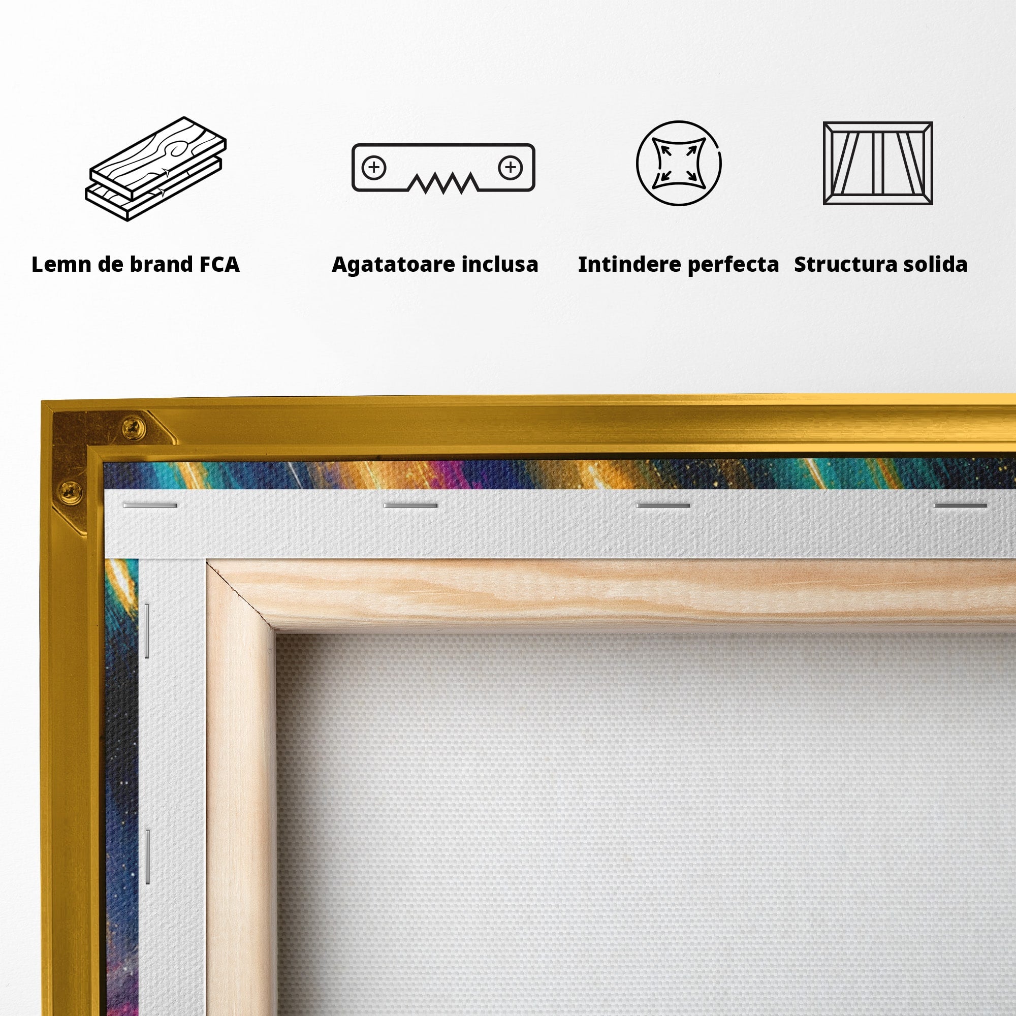 Tablou Canvas Premium LuxCanva® A1688, Ploua Cu Stele Cazatoare, Stele Cazatoare, Cer Instelat, Peisaj Nocturn, Mister, Living, Culori Vibrante