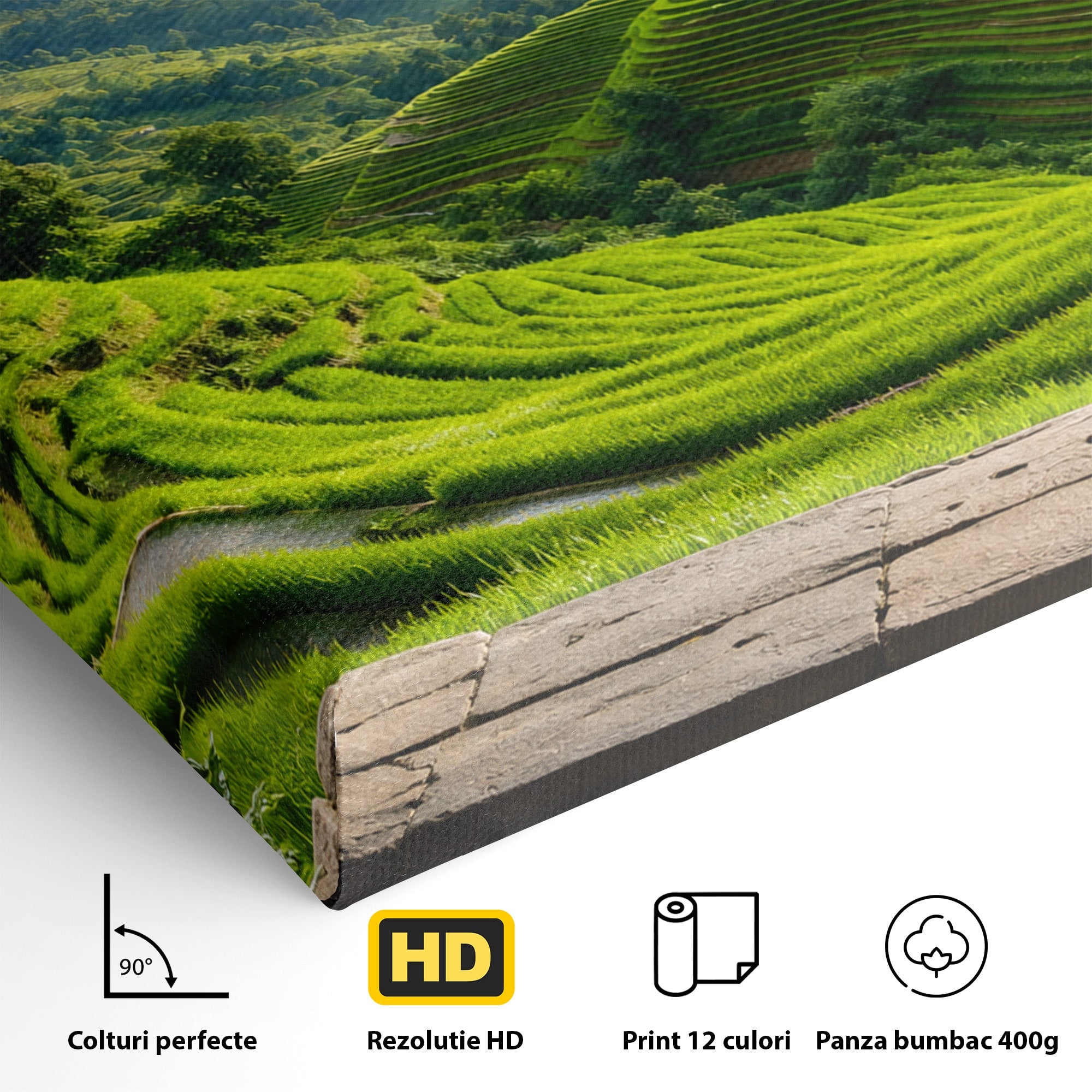 Tablou Canvas Premium LuxCanva® A1690, Terase Verzi Montane, Peisaj, Natura, Terase, Munti, Living, Dormitor, Culori Vibrante