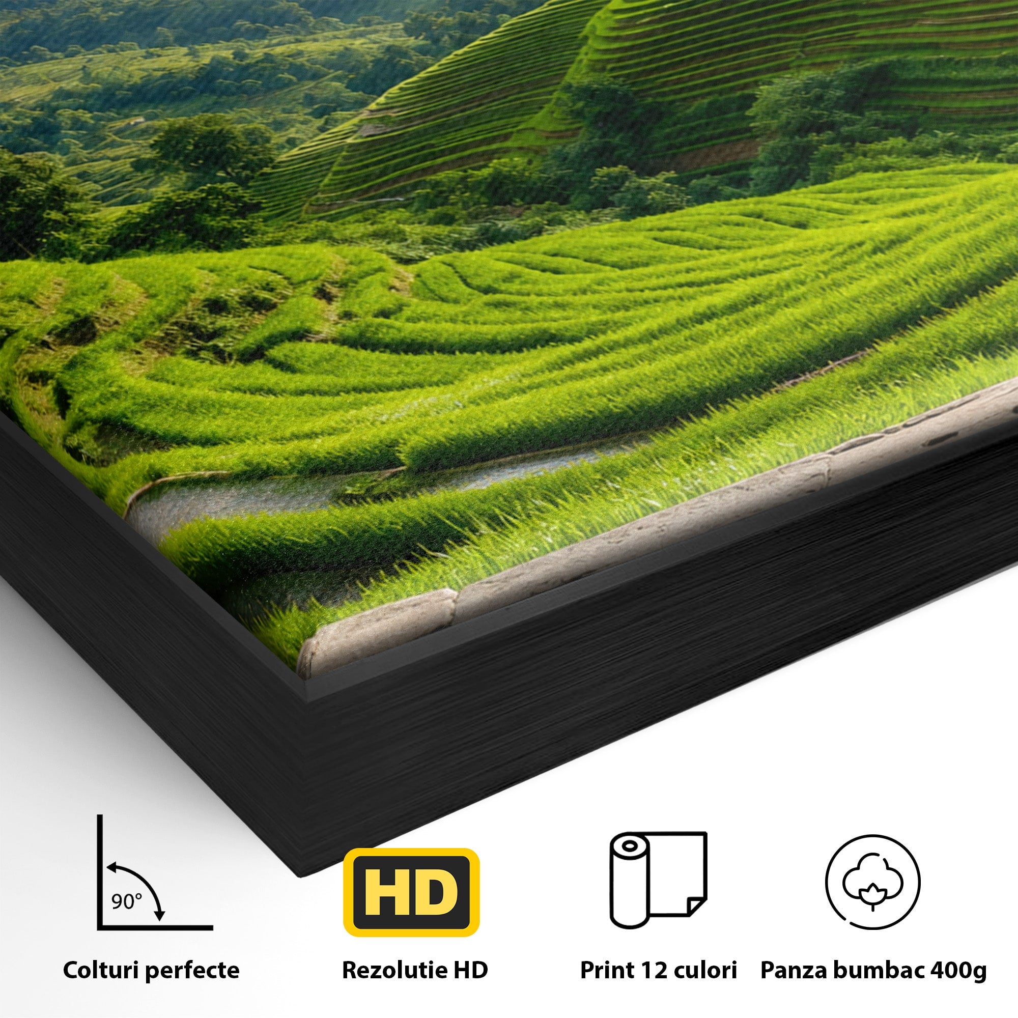 Tablou Canvas Premium LuxCanva® A1690, Terase Verzi Montane, Peisaj, Natura, Terase, Munti, Living, Dormitor, Culori Vibrante