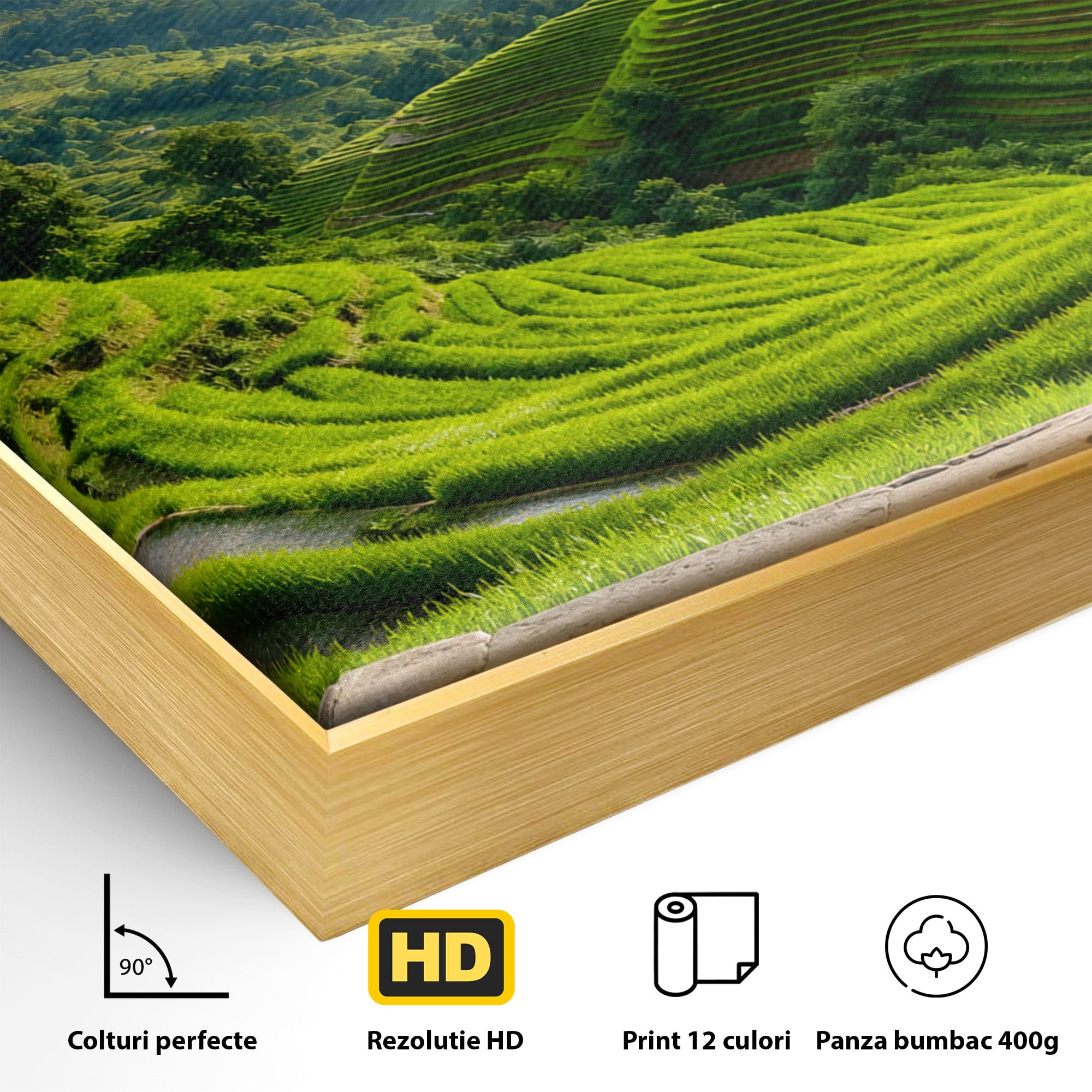 Tablou Canvas Premium LuxCanva® A1690, Terase Verzi Montane, Peisaj, Natura, Terase, Munti, Living, Dormitor, Culori Vibrante