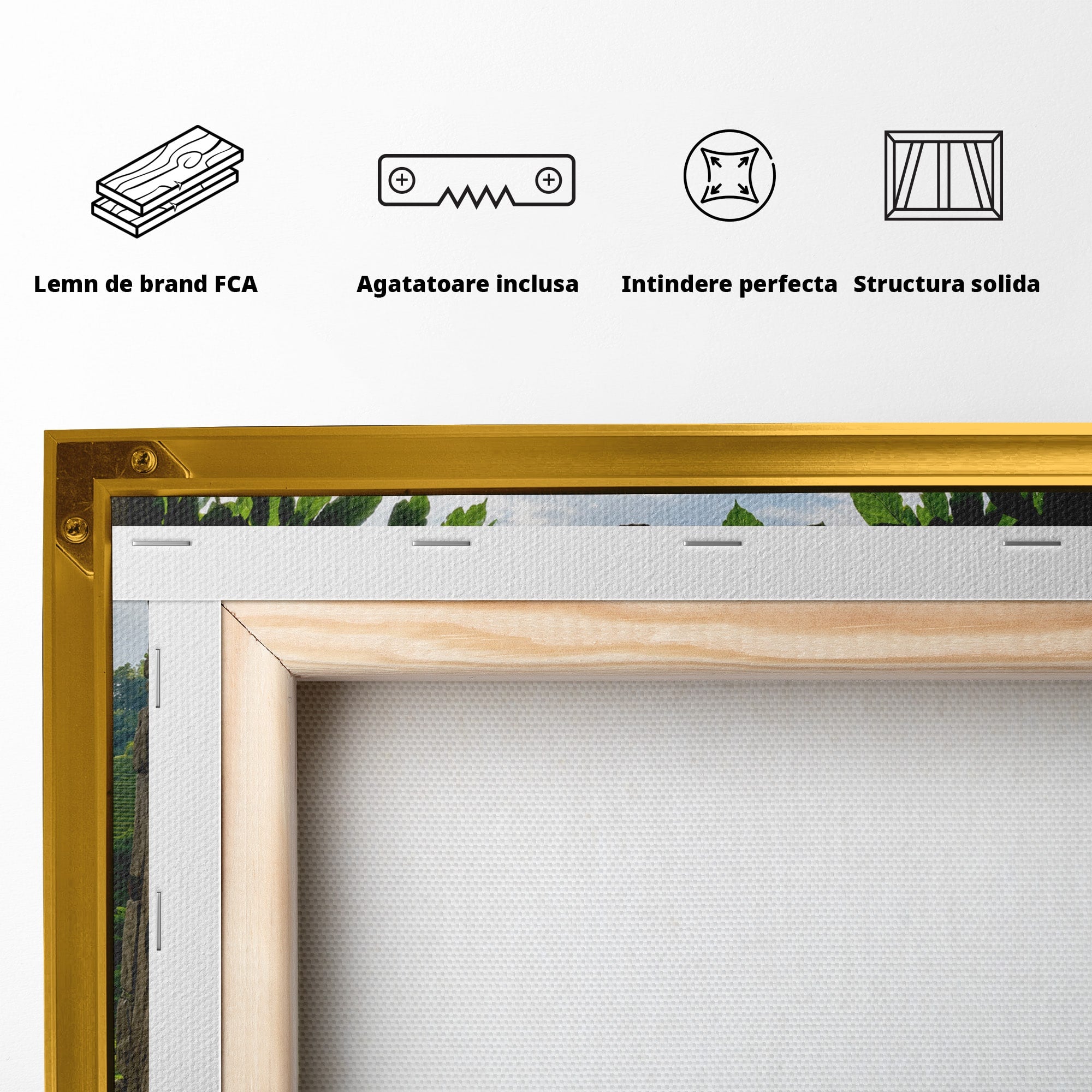 Tablou Canvas Premium LuxCanva® A1690, Terase Verzi Montane, Peisaj, Natura, Terase, Munti, Living, Dormitor, Culori Vibrante
