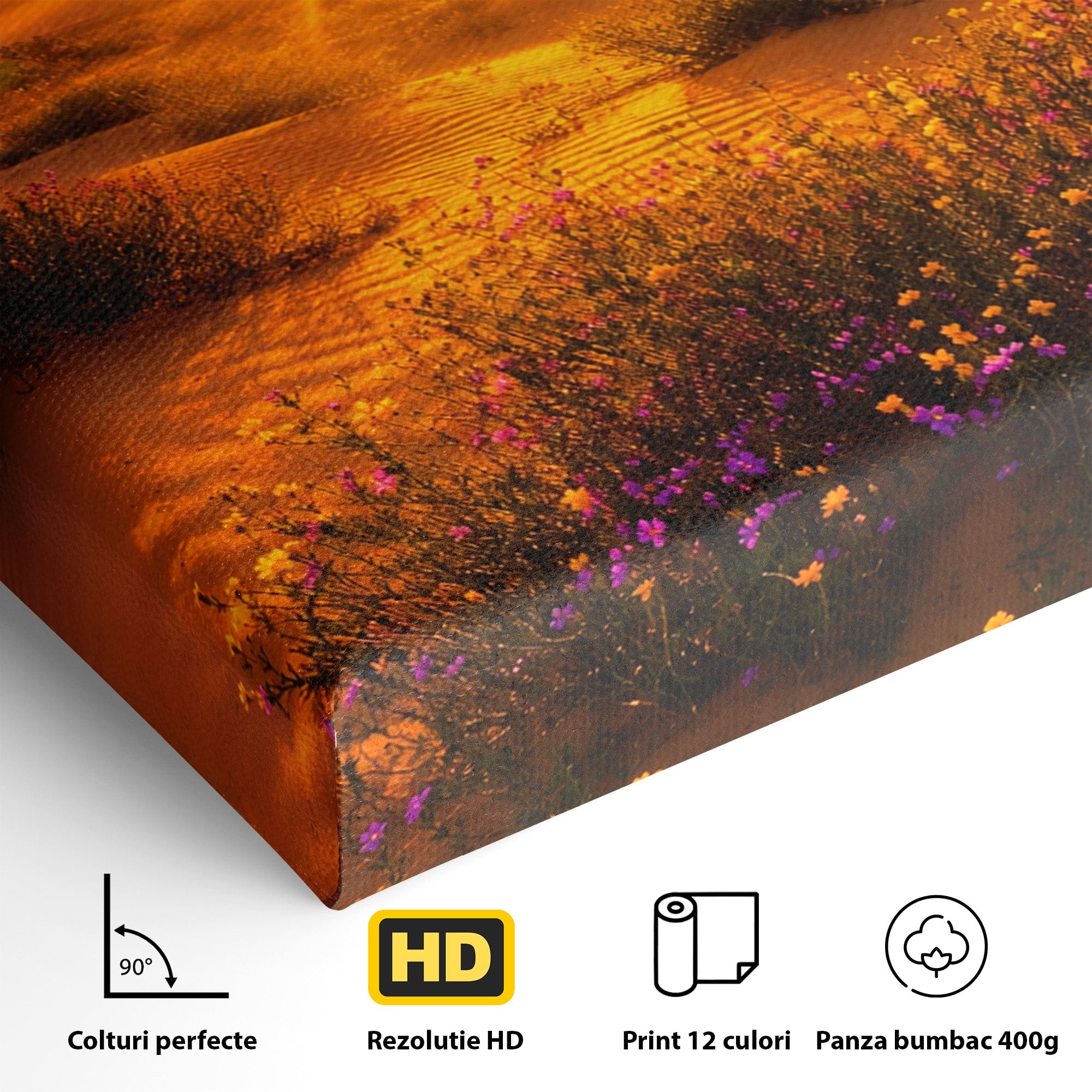 Tablou Canvas Premium LuxCanva® A1701, Apus De Soare In Desert, Apus, Desert, Flori, Natura, Living, Culori Vibrante