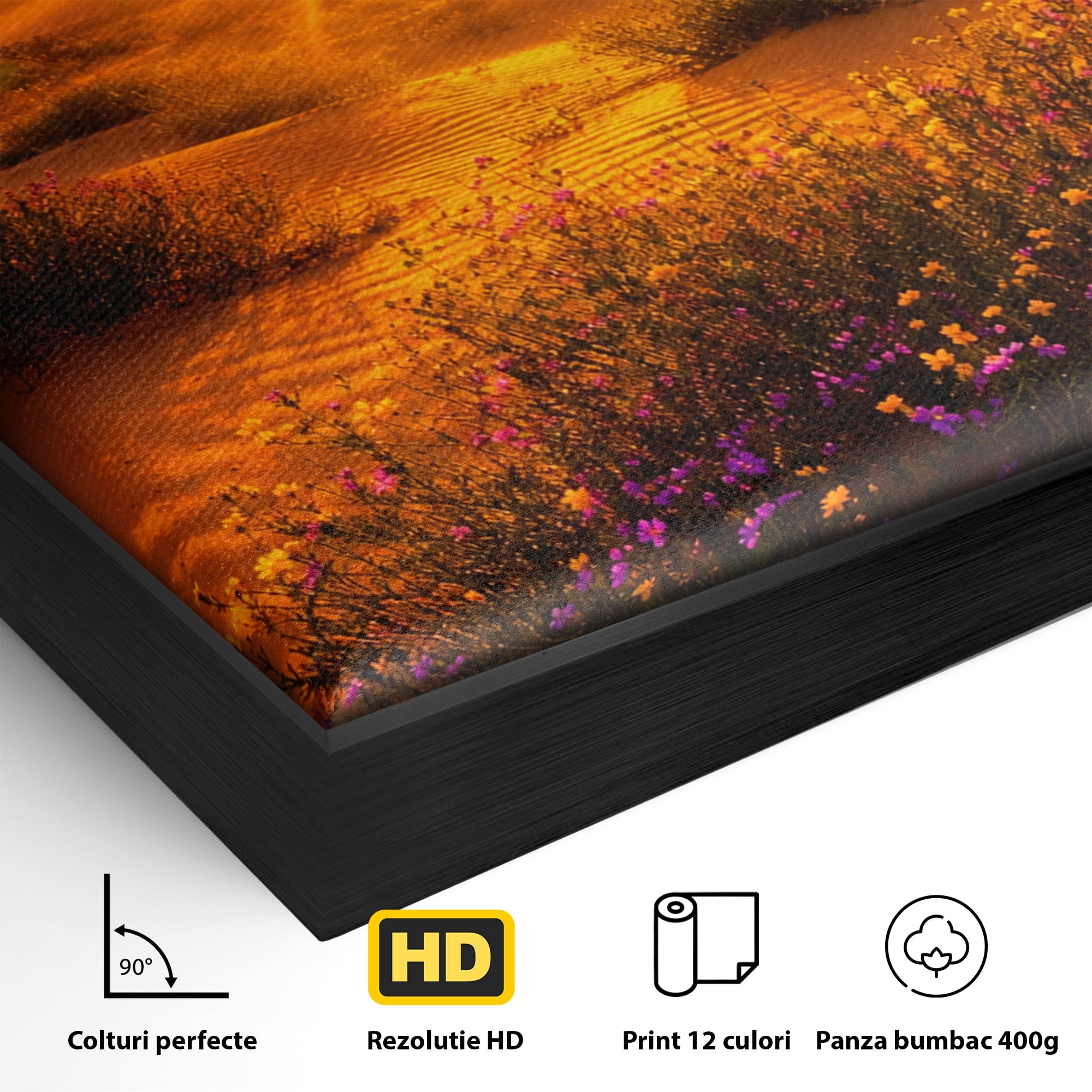 Tablou Canvas Premium LuxCanva® A1701, Apus De Soare In Desert, Apus, Desert, Flori, Natura, Living, Culori Vibrante