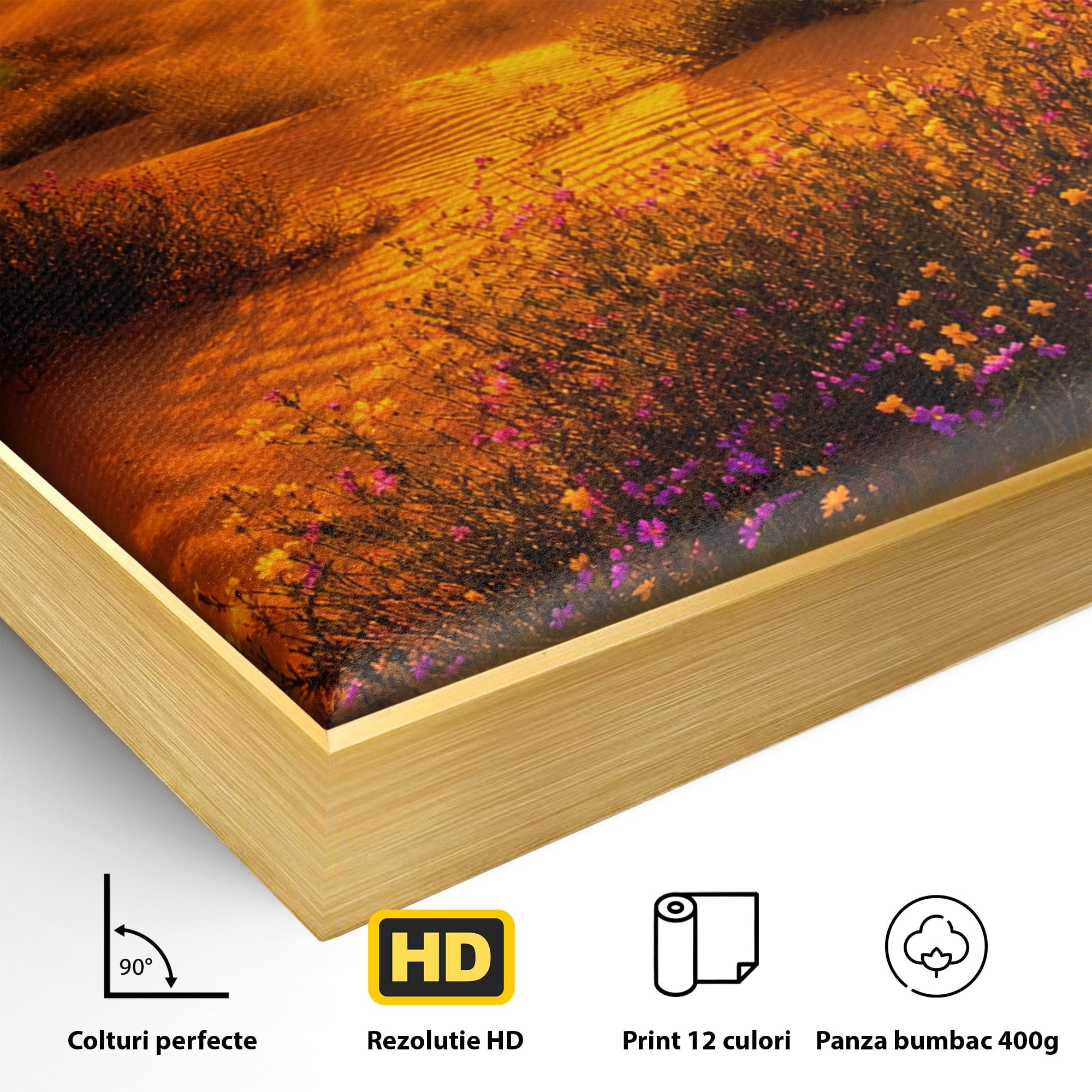 Tablou Canvas Premium LuxCanva® A1701, Apus De Soare In Desert, Apus, Desert, Flori, Natura, Living, Culori Vibrante