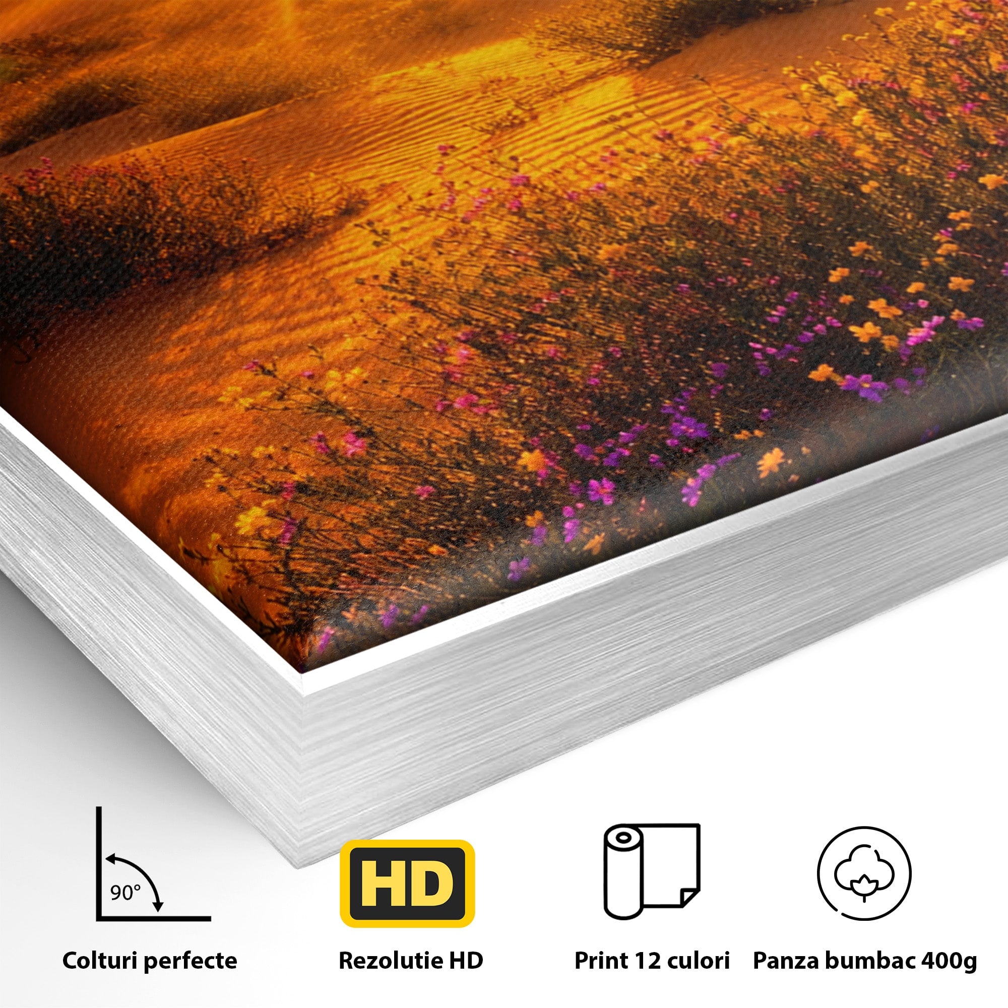 Tablou Canvas Premium LuxCanva® A1701, Apus De Soare In Desert, Apus, Desert, Flori, Natura, Living, Culori Vibrante