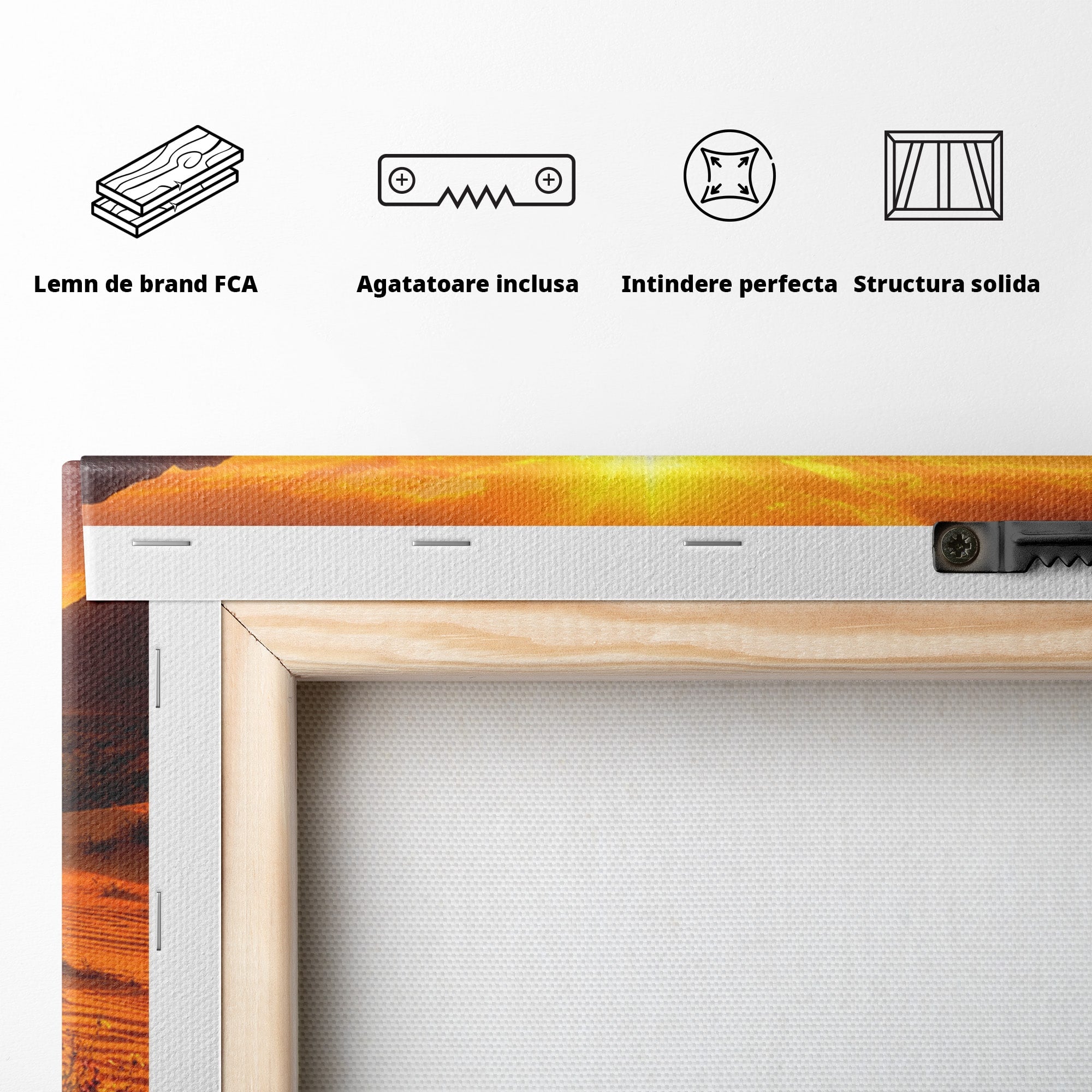 Tablou Canvas Premium LuxCanva® A1701, Apus De Soare In Desert, Apus, Desert, Flori, Natura, Living, Culori Vibrante
