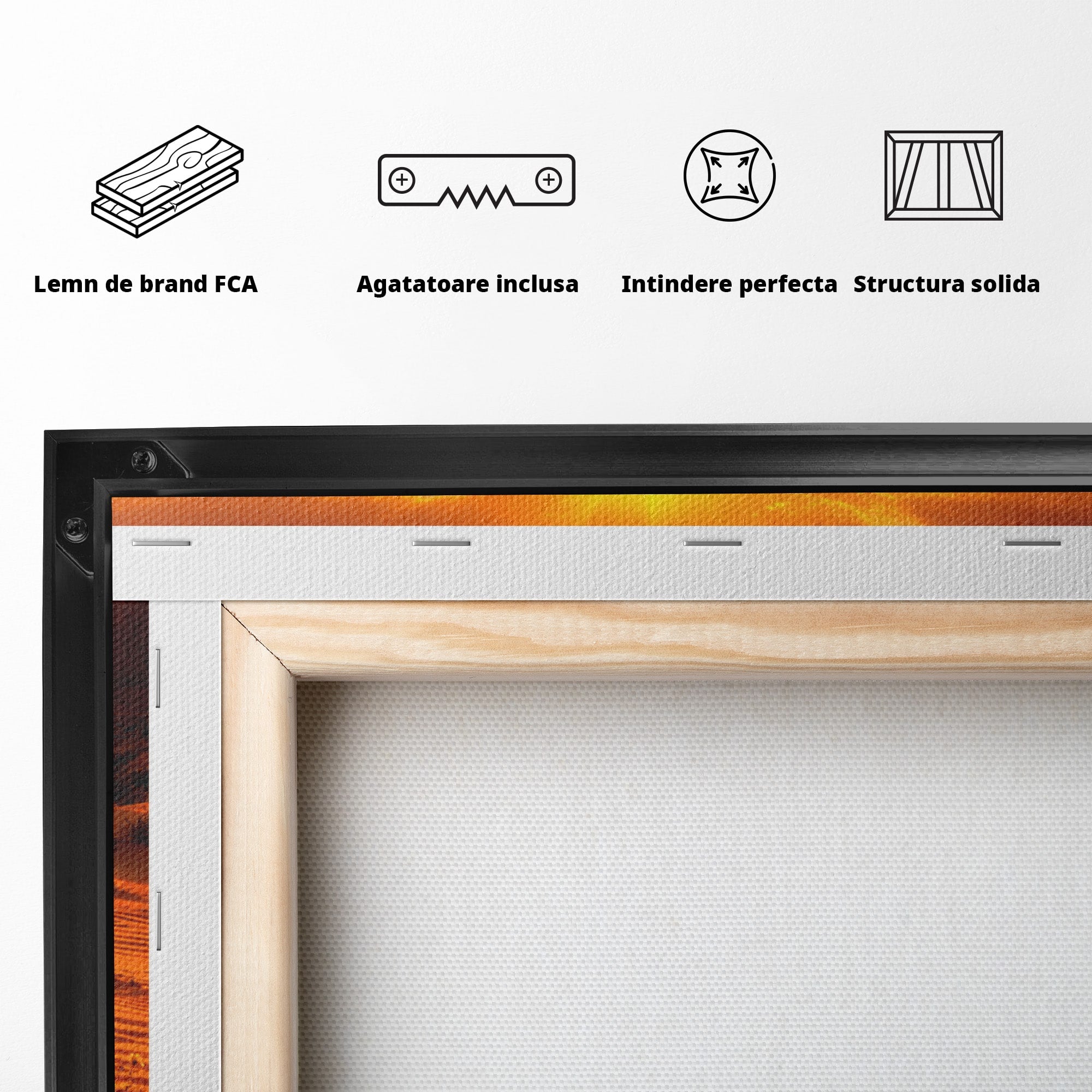 Tablou Canvas Premium LuxCanva® A1701, Apus De Soare In Desert, Apus, Desert, Flori, Natura, Living, Culori Vibrante