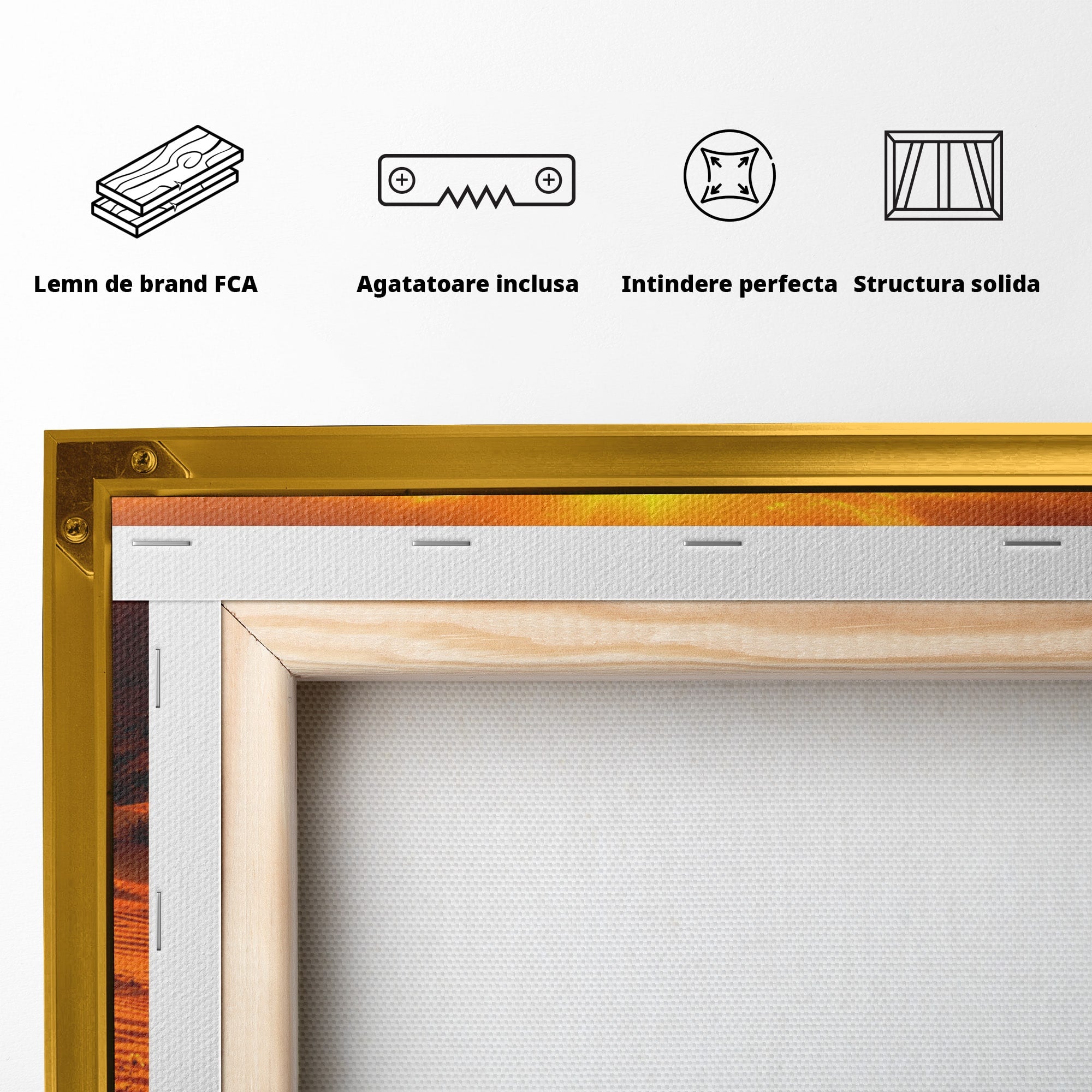 Tablou Canvas Premium LuxCanva® A1701, Apus De Soare In Desert, Apus, Desert, Flori, Natura, Living, Culori Vibrante