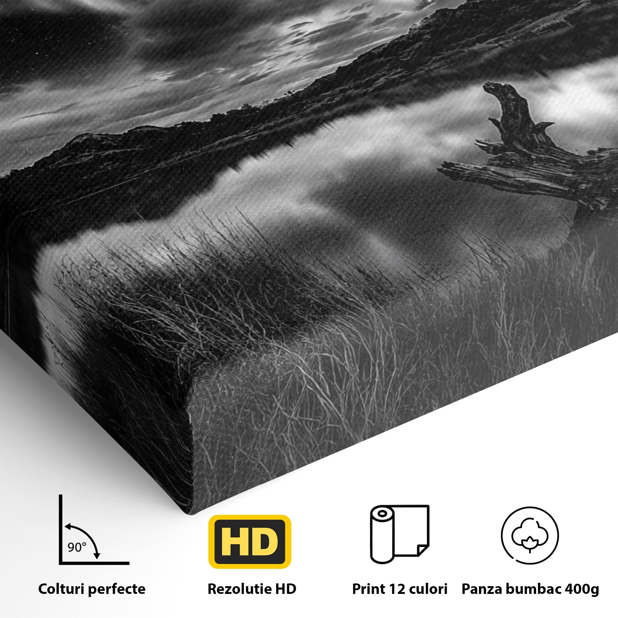 Tablou Canvas Premium LuxCanva® A1703, Aurora Boreala Monocromatica, Aurora Boreala, Peisaj, Noapte, Reflectie, Dormitor, Culori Vibrante