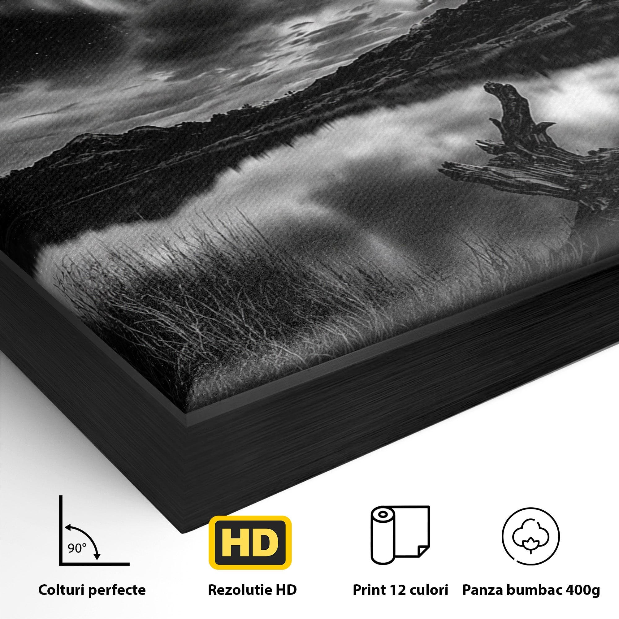 Tablou Canvas Premium LuxCanva® A1703, Aurora Boreala Monocromatica, Aurora Boreala, Peisaj, Noapte, Reflectie, Dormitor, Culori Vibrante