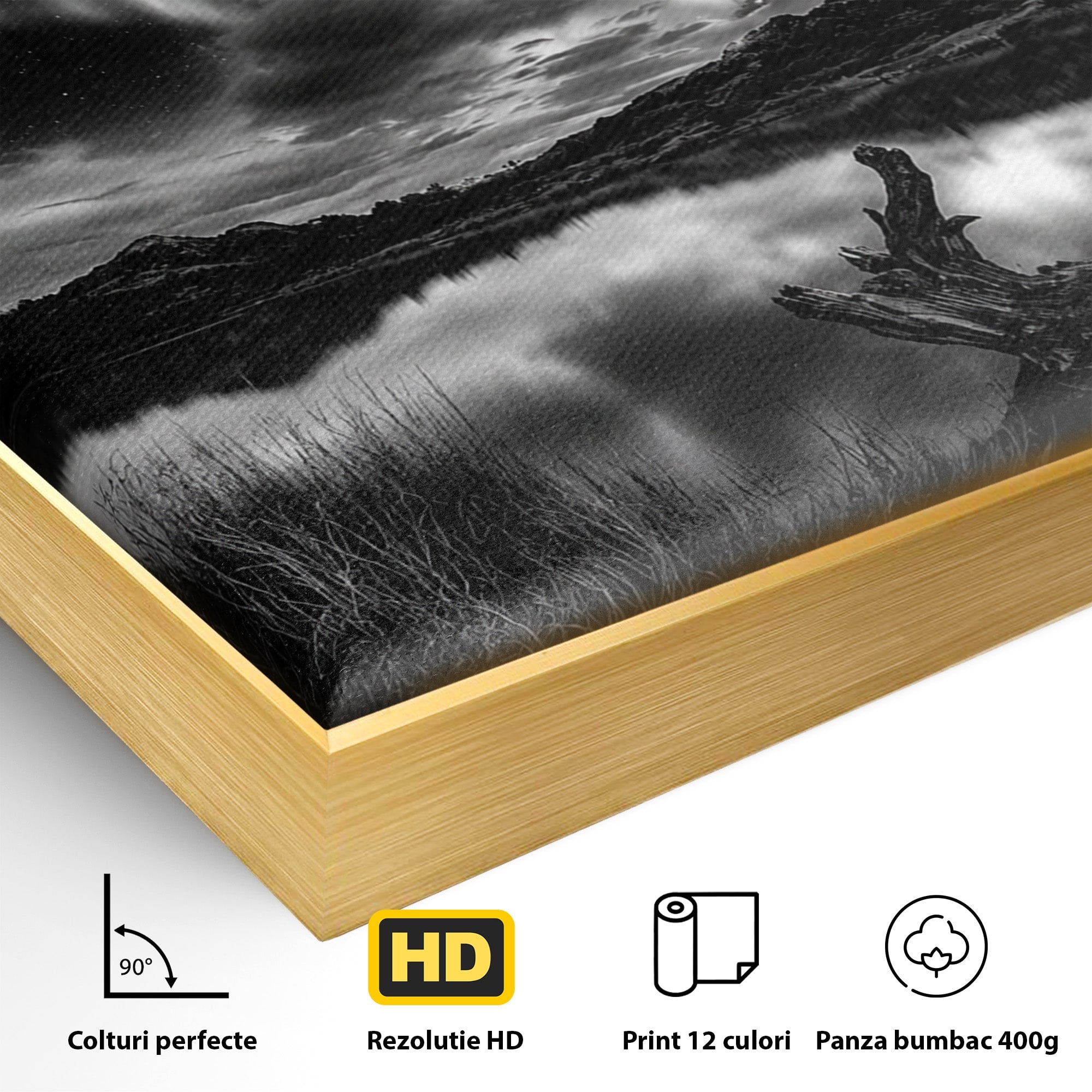Tablou Canvas Premium LuxCanva® A1703, Aurora Boreala Monocromatica, Aurora Boreala, Peisaj, Noapte, Reflectie, Dormitor, Culori Vibrante