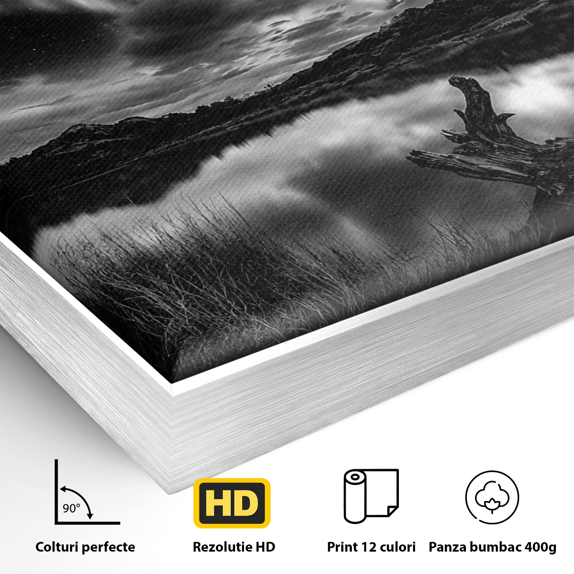 Tablou Canvas Premium LuxCanva® A1703, Aurora Boreala Monocromatica, Aurora Boreala, Peisaj, Noapte, Reflectie, Dormitor, Culori Vibrante