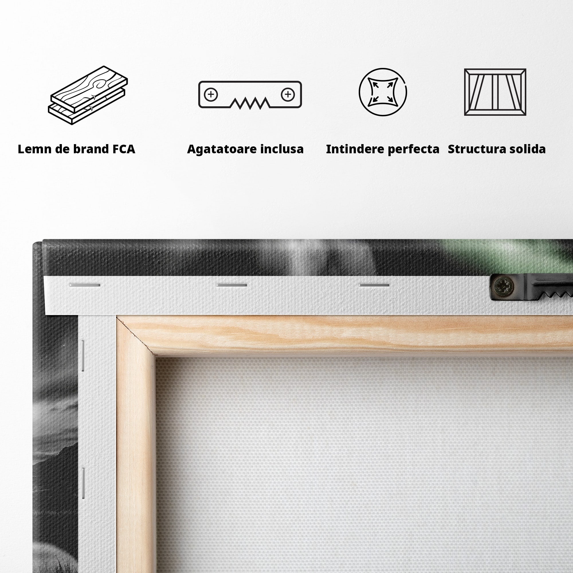 Tablou Canvas Premium LuxCanva® A1703, Aurora Boreala Monocromatica, Aurora Boreala, Peisaj, Noapte, Reflectie, Dormitor, Culori Vibrante