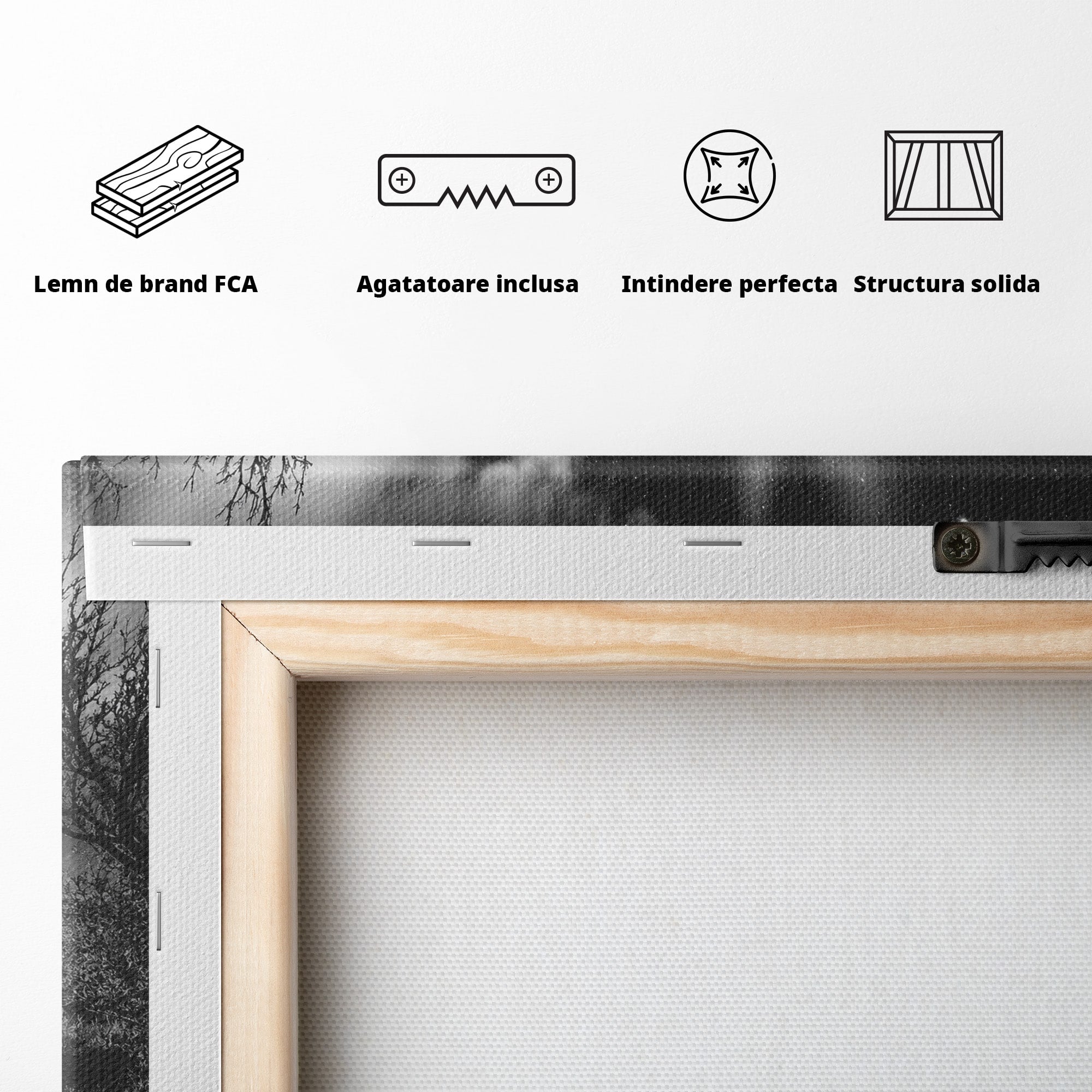 Tablou Canvas Premium LuxCanva® A1704, Cand Noaptea Danseaza , Aurora Boreala, Peisaj, Cer, Noapte, Living, Dormitor, Culori Vibrante