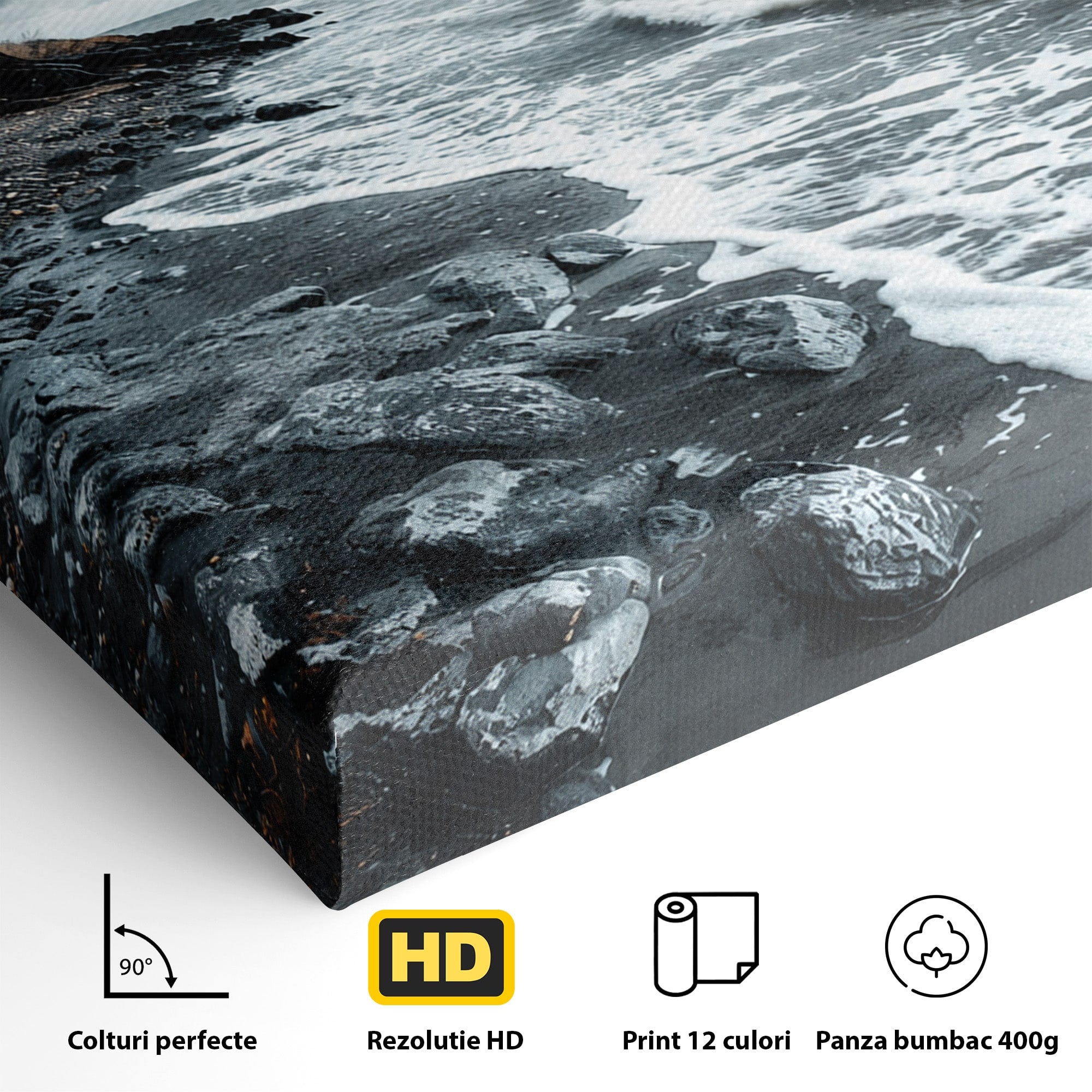 Tablou Canvas Premium LuxCanva® A1707, Copac Singuratic Pe Tarm, Copac, Tarm, Peisaj, Natura, Dramatic, Living, Culori Vibrante