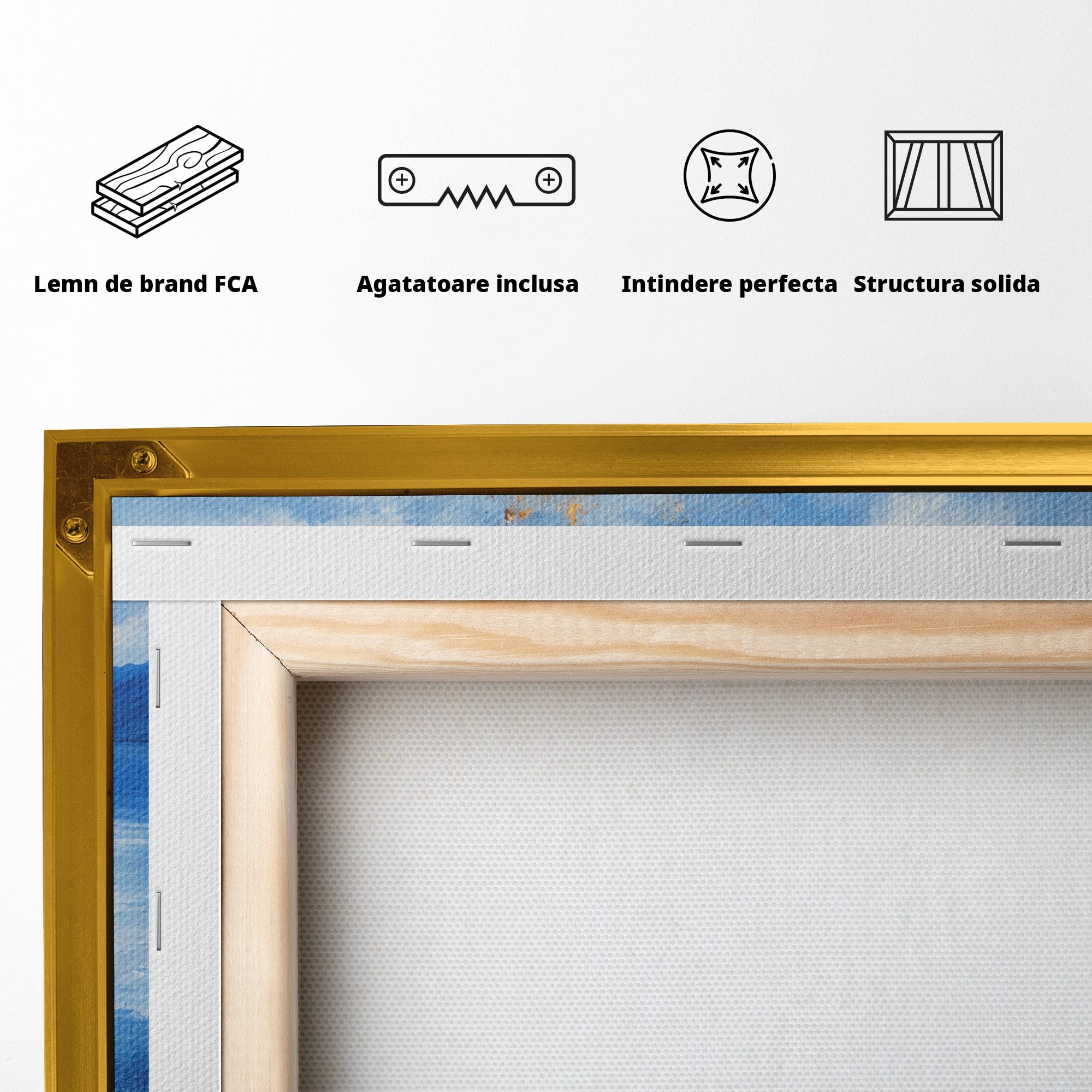 Tablou Canvas Premium LuxCanva® A1710, Focul Ceresc, Foc, Cer, Peisaj, Reflectie, Living, Culori Vibrante