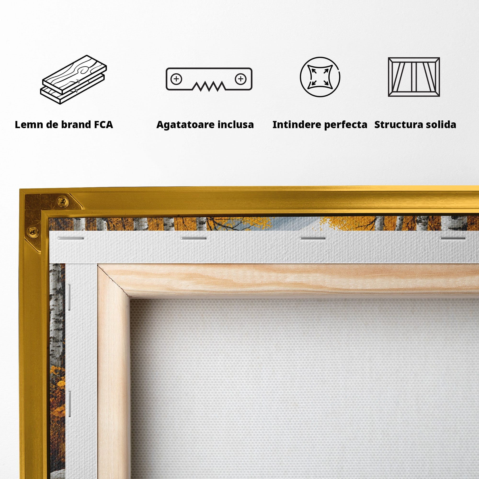 Tablou Canvas Premium LuxCanva® A1722, Padure De Mesteceni Toamna, Padure, Mesteceni, Toamna, Peisaj, Rau, Natura, Living, Dormitor, Culori Vibrante