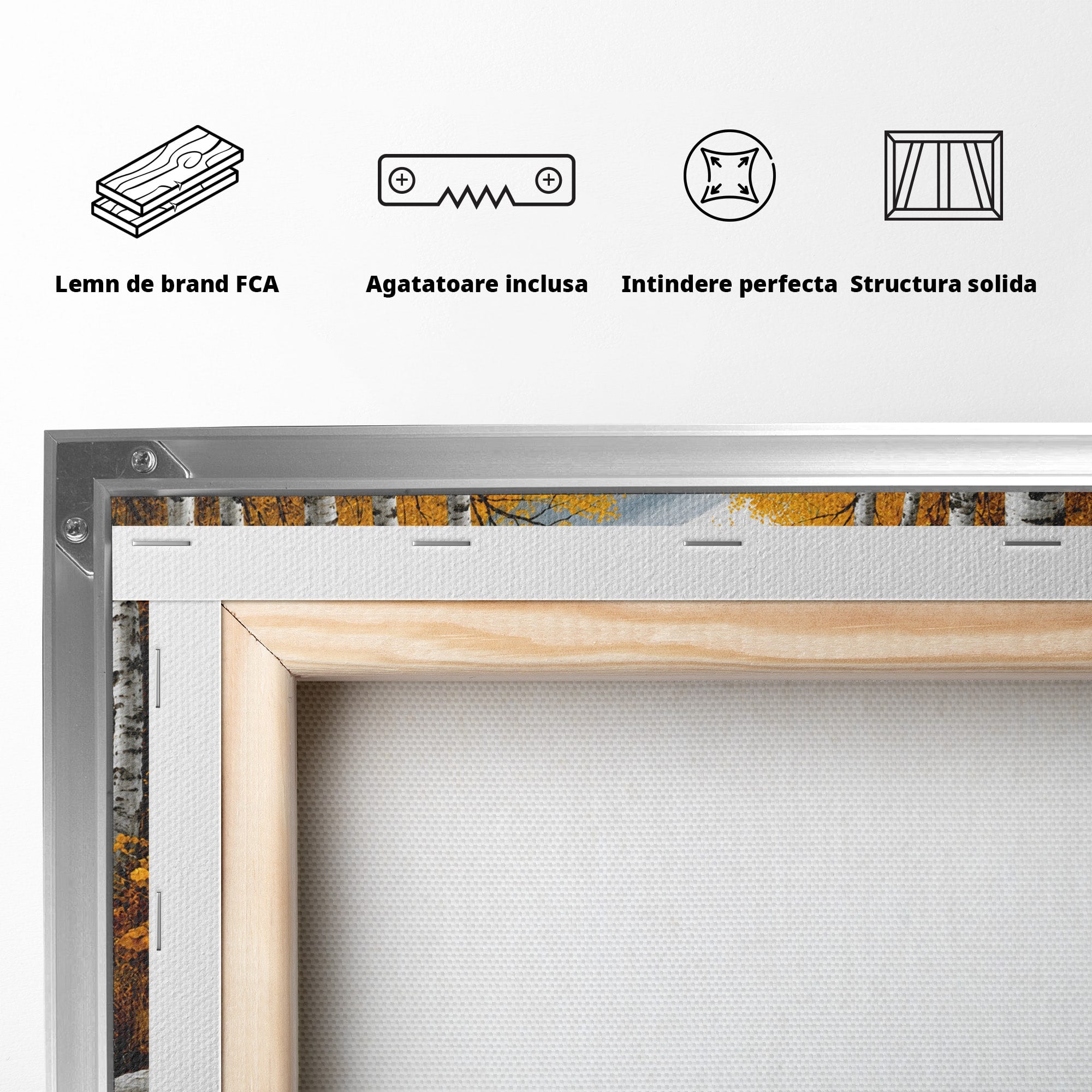 Tablou Canvas Premium LuxCanva® A1722, Padure De Mesteceni Toamna, Padure, Mesteceni, Toamna, Peisaj, Rau, Natura, Living, Dormitor, Culori Vibrante