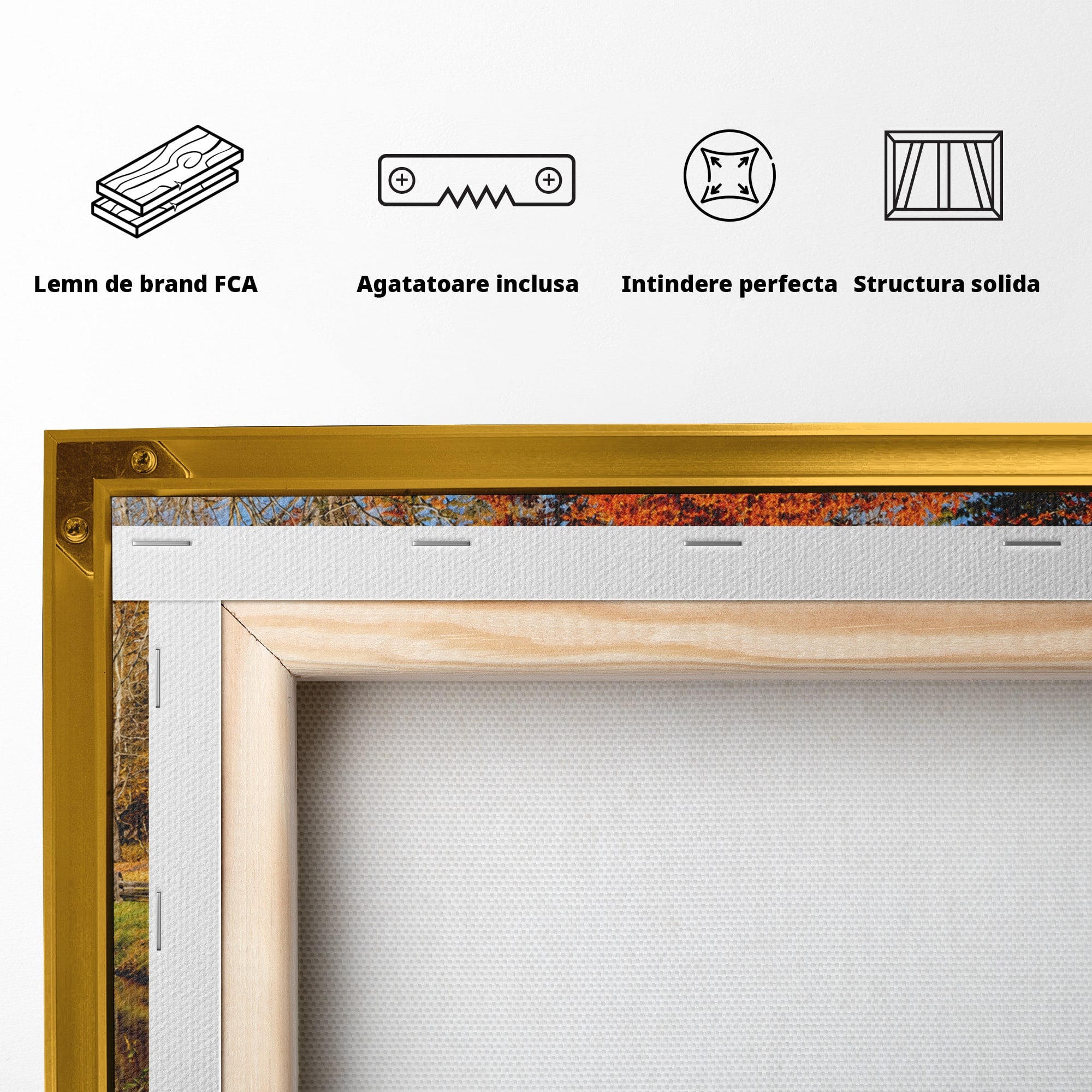 Tablou Canvas Premium LuxCanva® A1744, Moara De Toamna, Moara, Toamna, Natura, Reflexie, Living, Culori Vibrante
