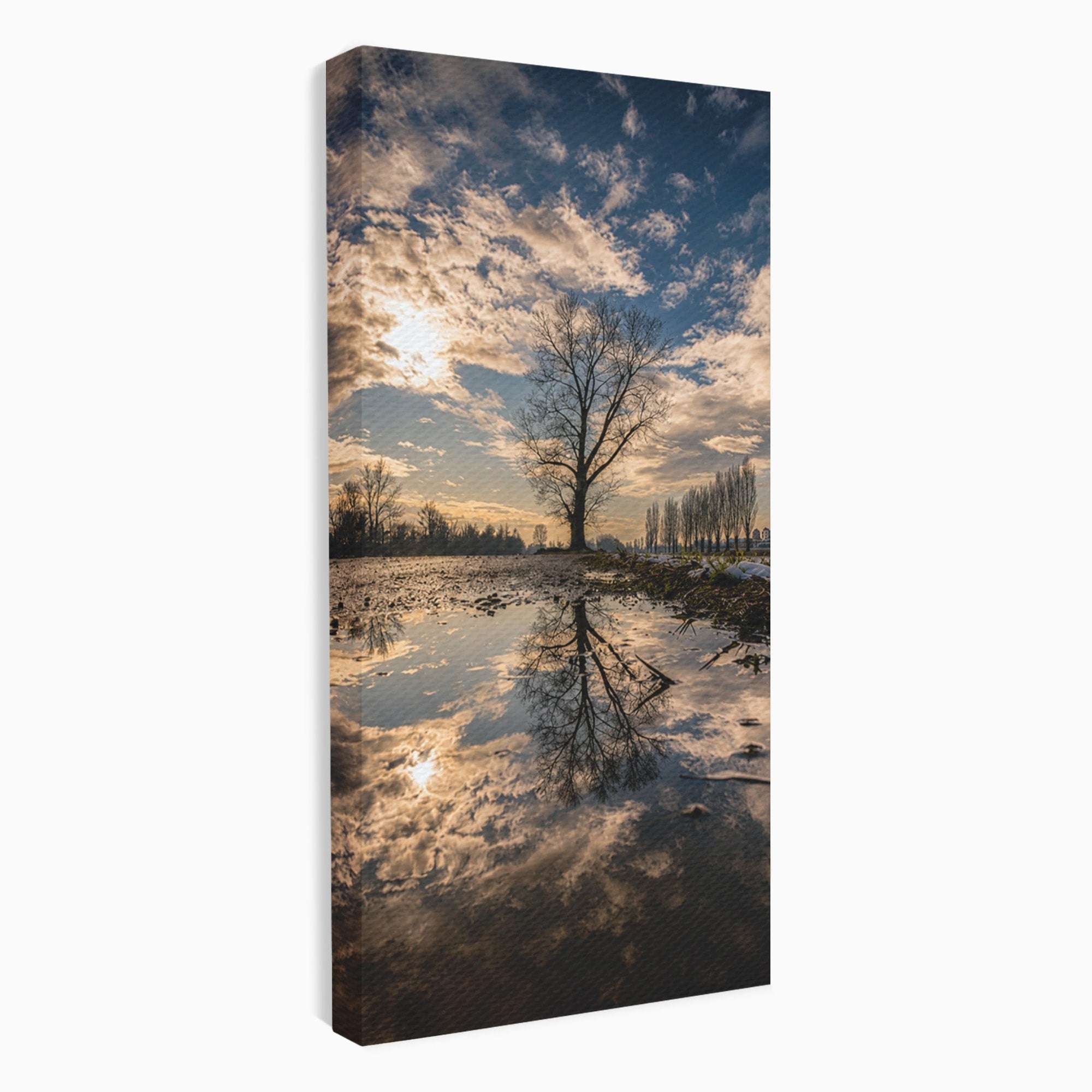 Tablou Canvas Premium LuxCanva® A1750, Reflexii In Apus, Apus, Reflexii, Peisaj, Copac, Living, Natura, Culori Vibrante