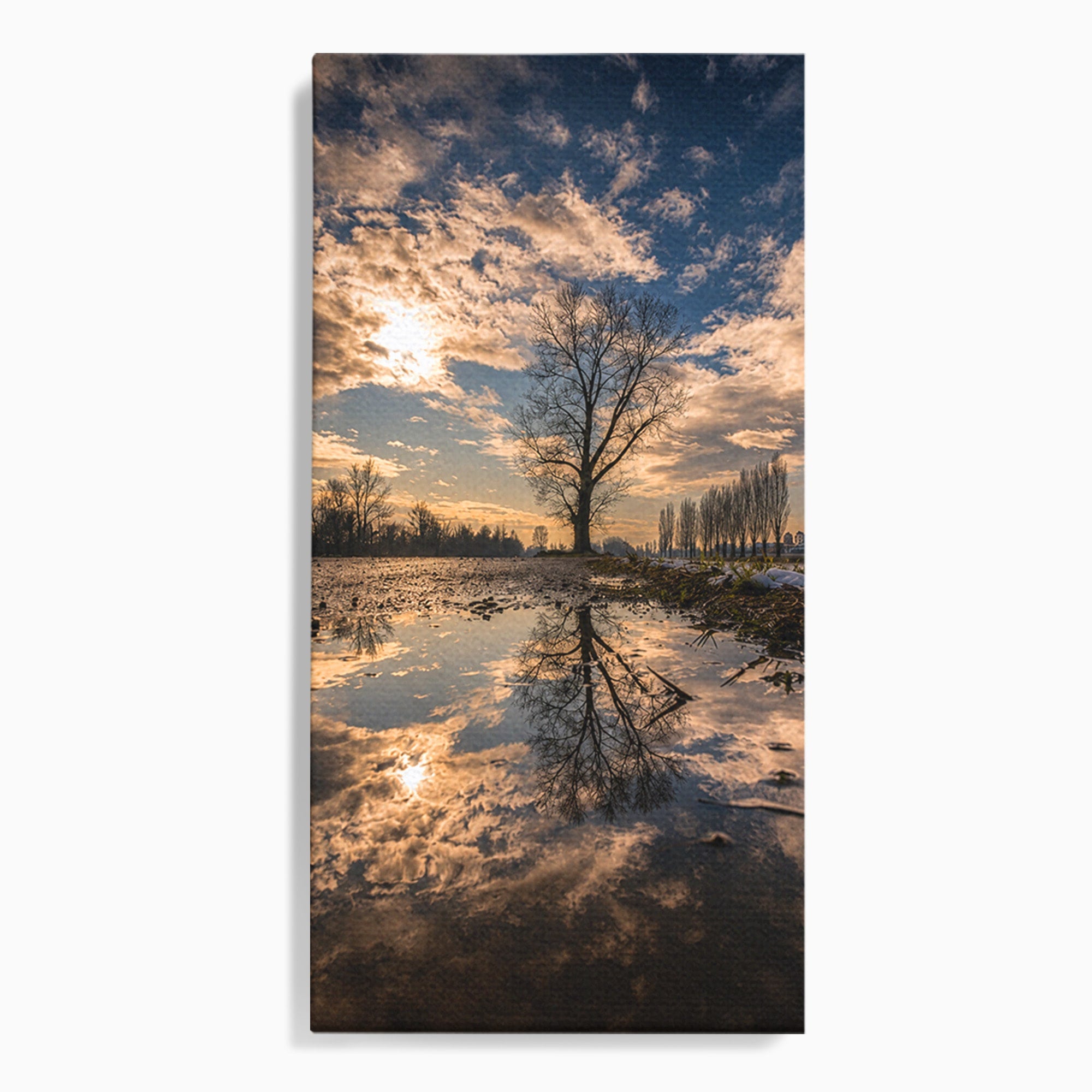 Tablou Canvas Premium LuxCanva® A1750, Reflexii In Apus, Apus, Reflexii, Peisaj, Copac, Living, Natura, Culori Vibrante