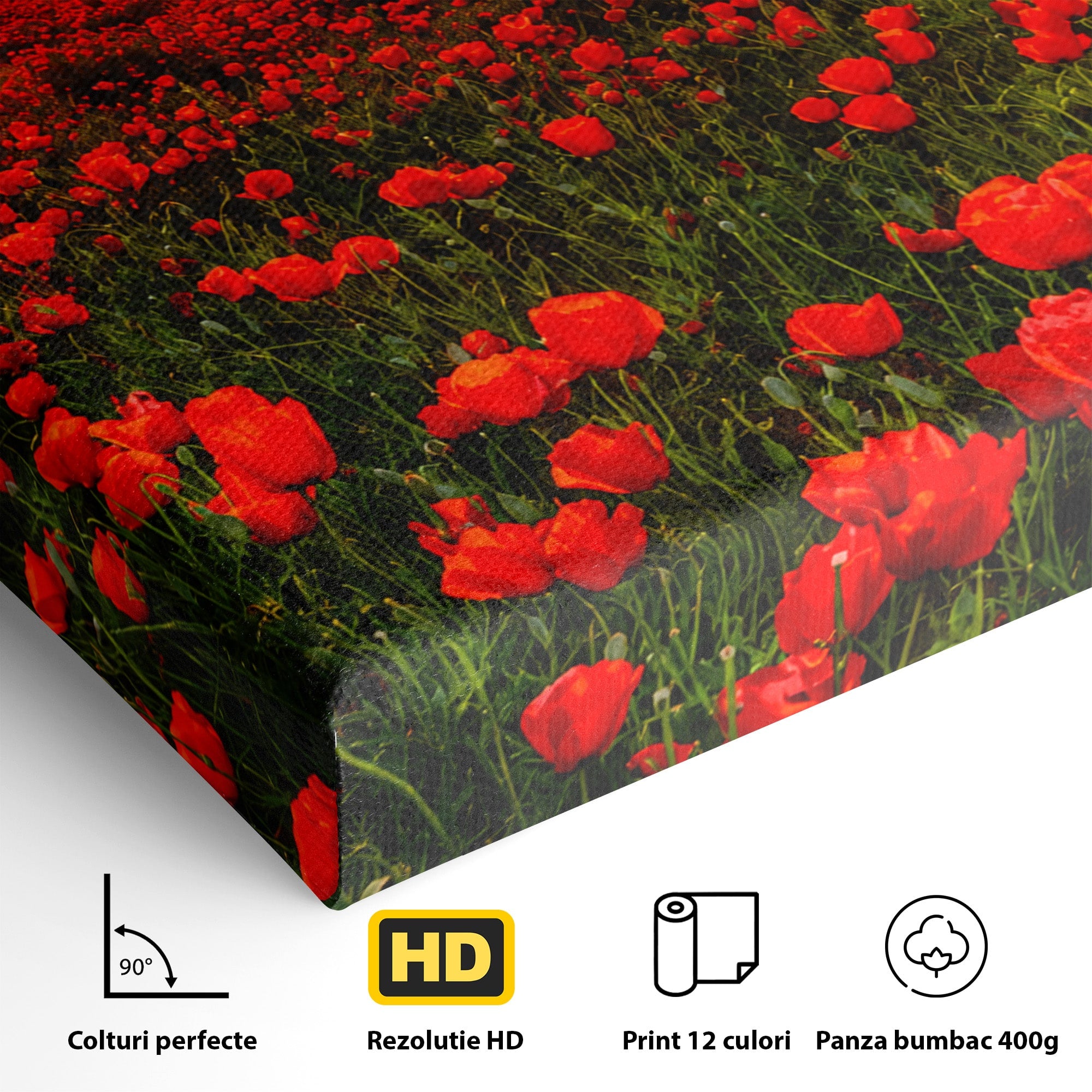 Tablou Canvas Premium LuxCanva® A1753, Camp De Maci La Apus, Maci, Apus, Natura, Peisaj, Romantic, Living, Culori Vibrante