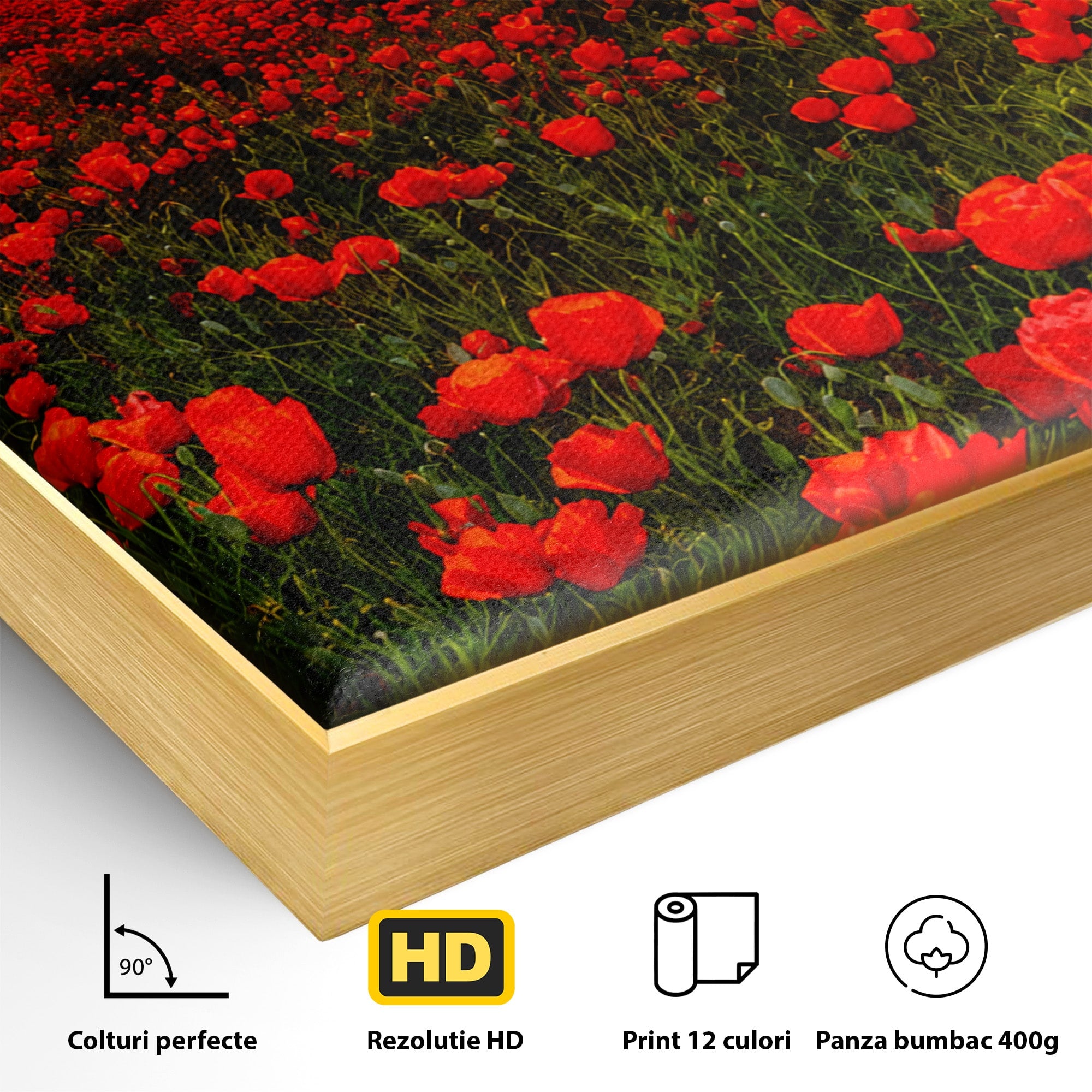 Tablou Canvas Premium LuxCanva® A1753, Camp De Maci La Apus, Maci, Apus, Natura, Peisaj, Romantic, Living, Culori Vibrante
