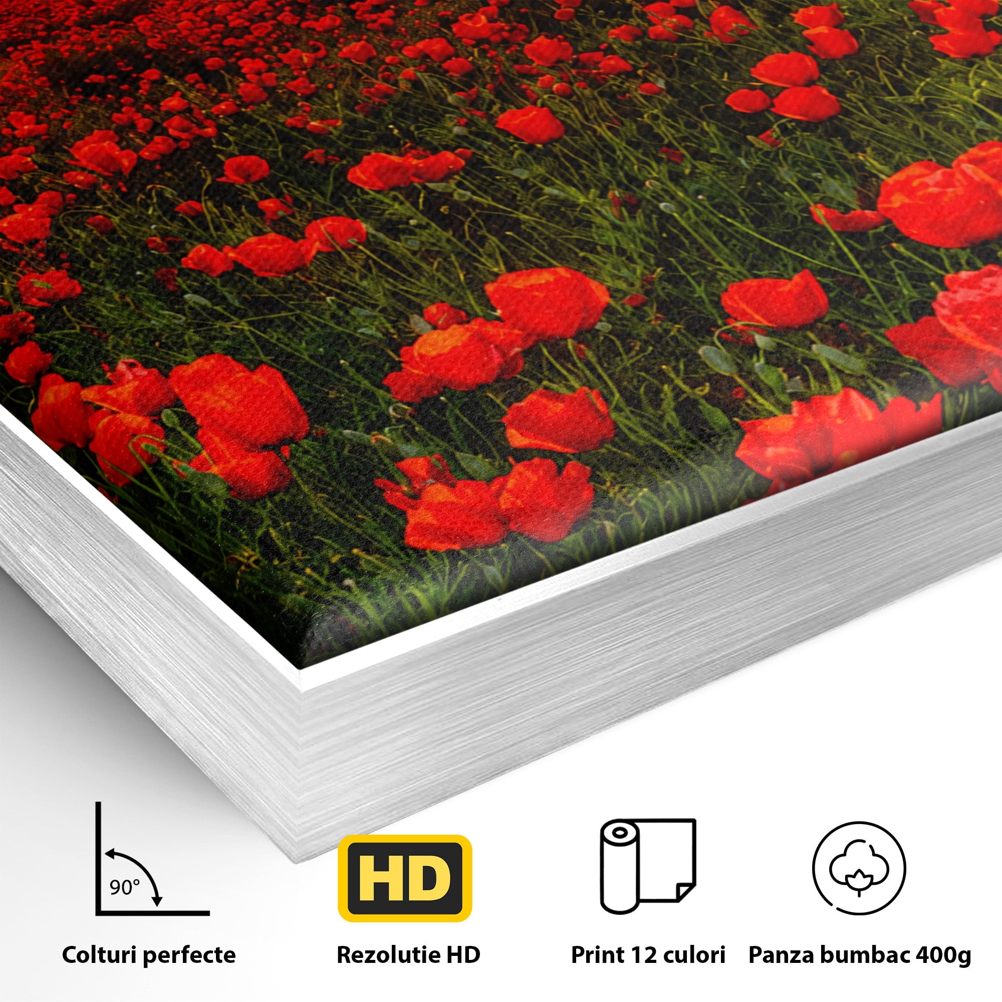 Tablou Canvas Premium LuxCanva® A1753, Camp De Maci La Apus, Maci, Apus, Natura, Peisaj, Romantic, Living, Culori Vibrante