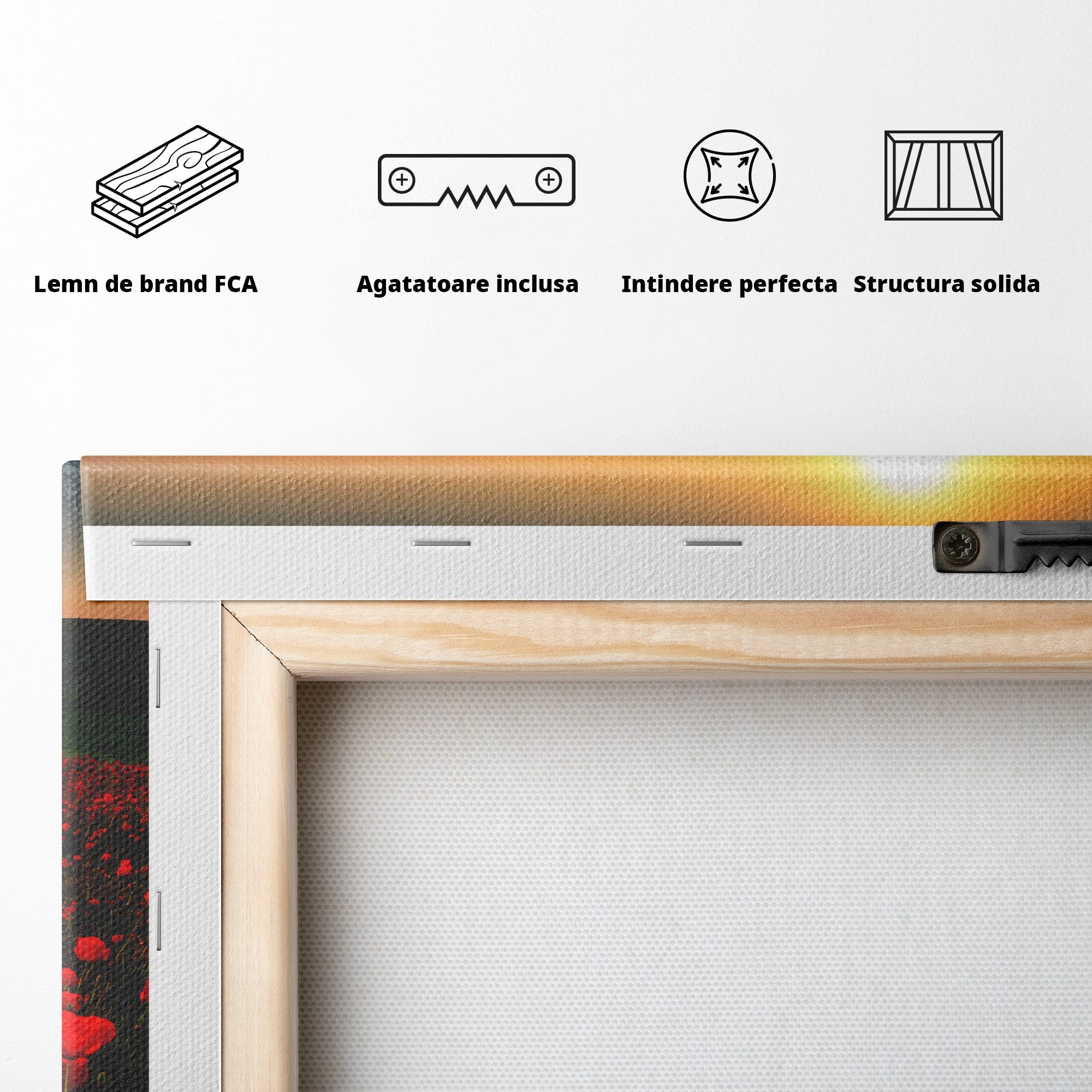 Tablou Canvas Premium LuxCanva® A1753, Camp De Maci La Apus, Maci, Apus, Natura, Peisaj, Romantic, Living, Culori Vibrante