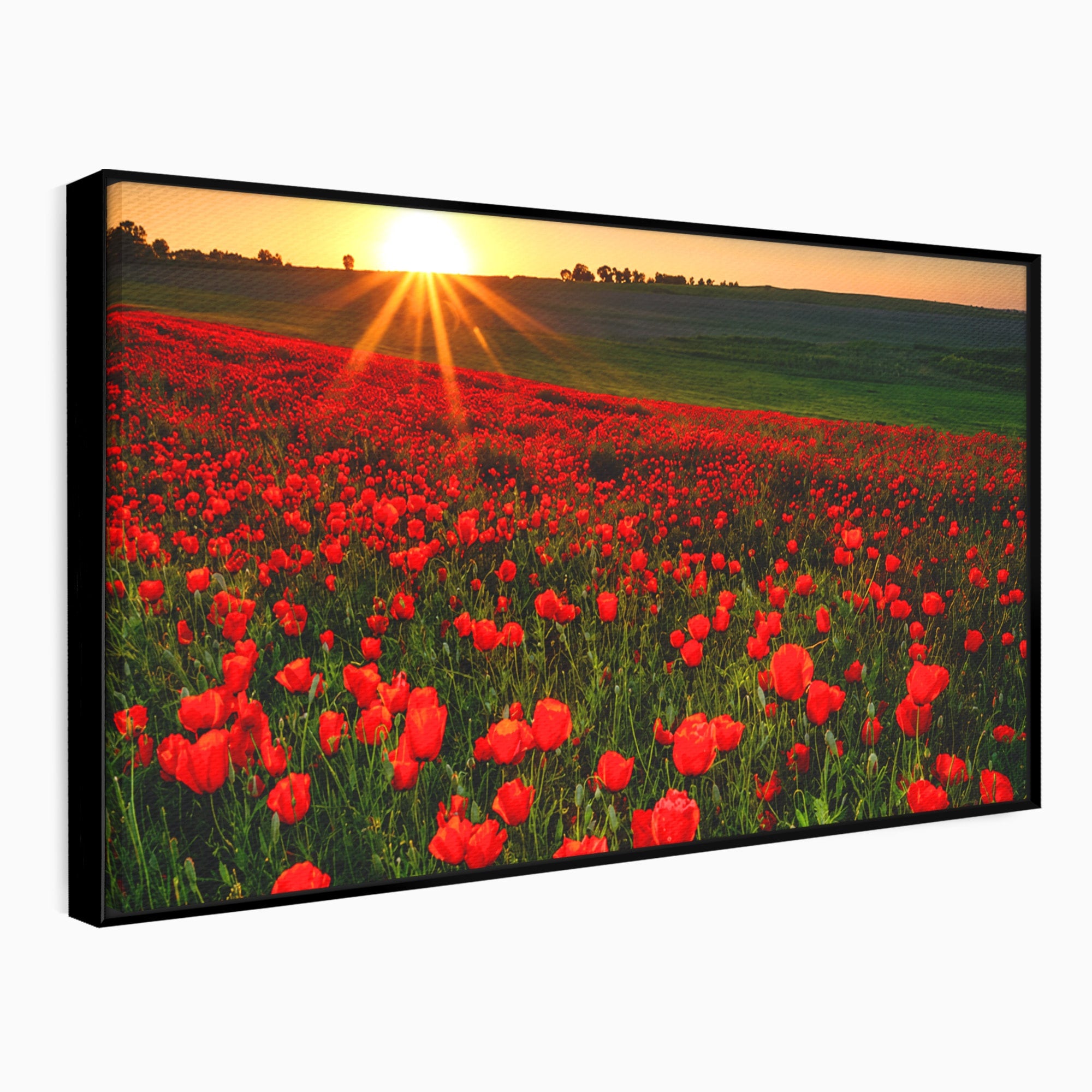Tablou Canvas Premium LuxCanva® A1753, Camp De Maci La Apus, Maci, Apus, Natura, Peisaj, Romantic, Living, Culori Vibrante