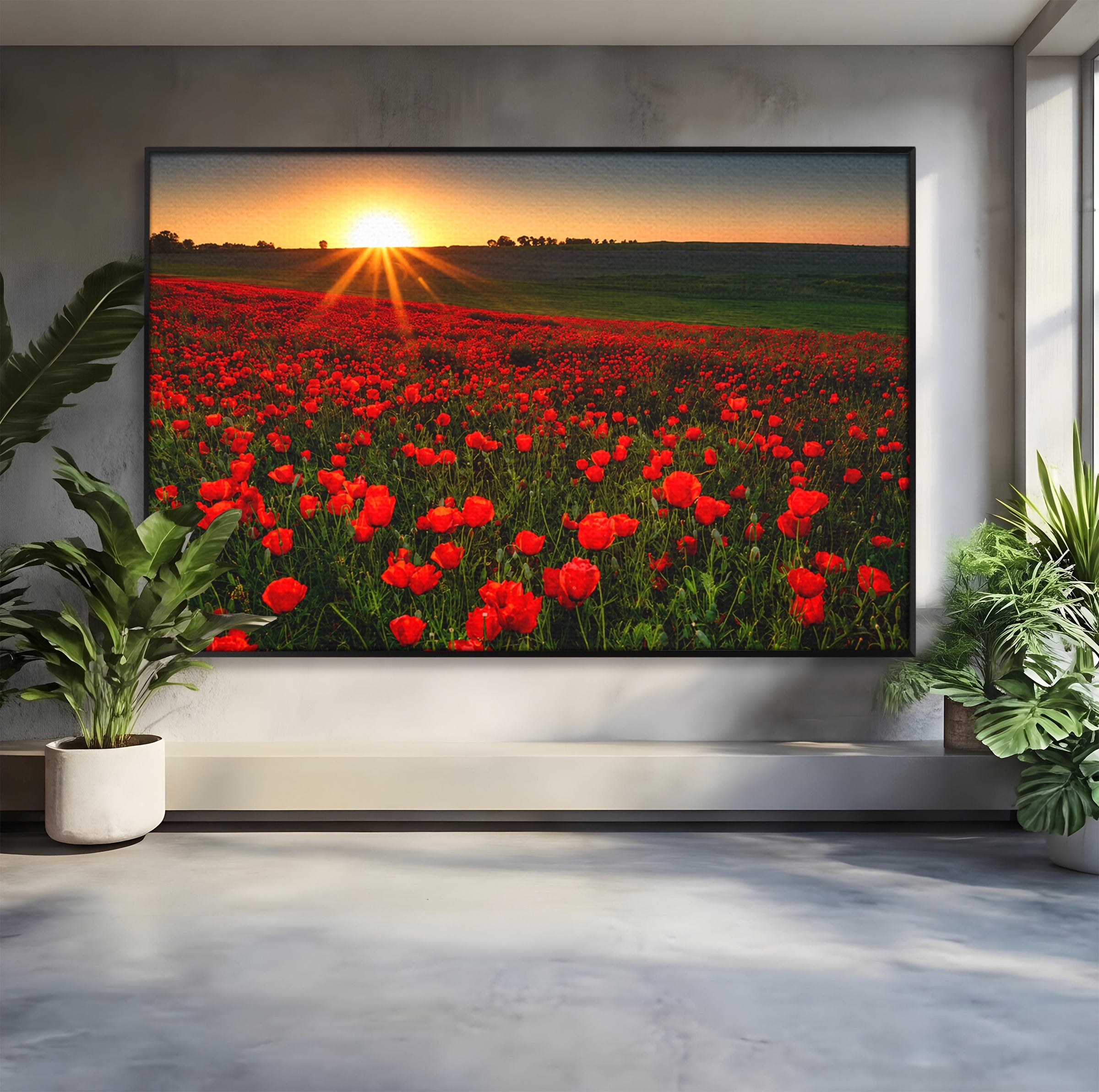 Tablou Canvas Premium LuxCanva® A1753, Camp De Maci La Apus, Maci, Apus, Natura, Peisaj, Romantic, Living, Culori Vibrante