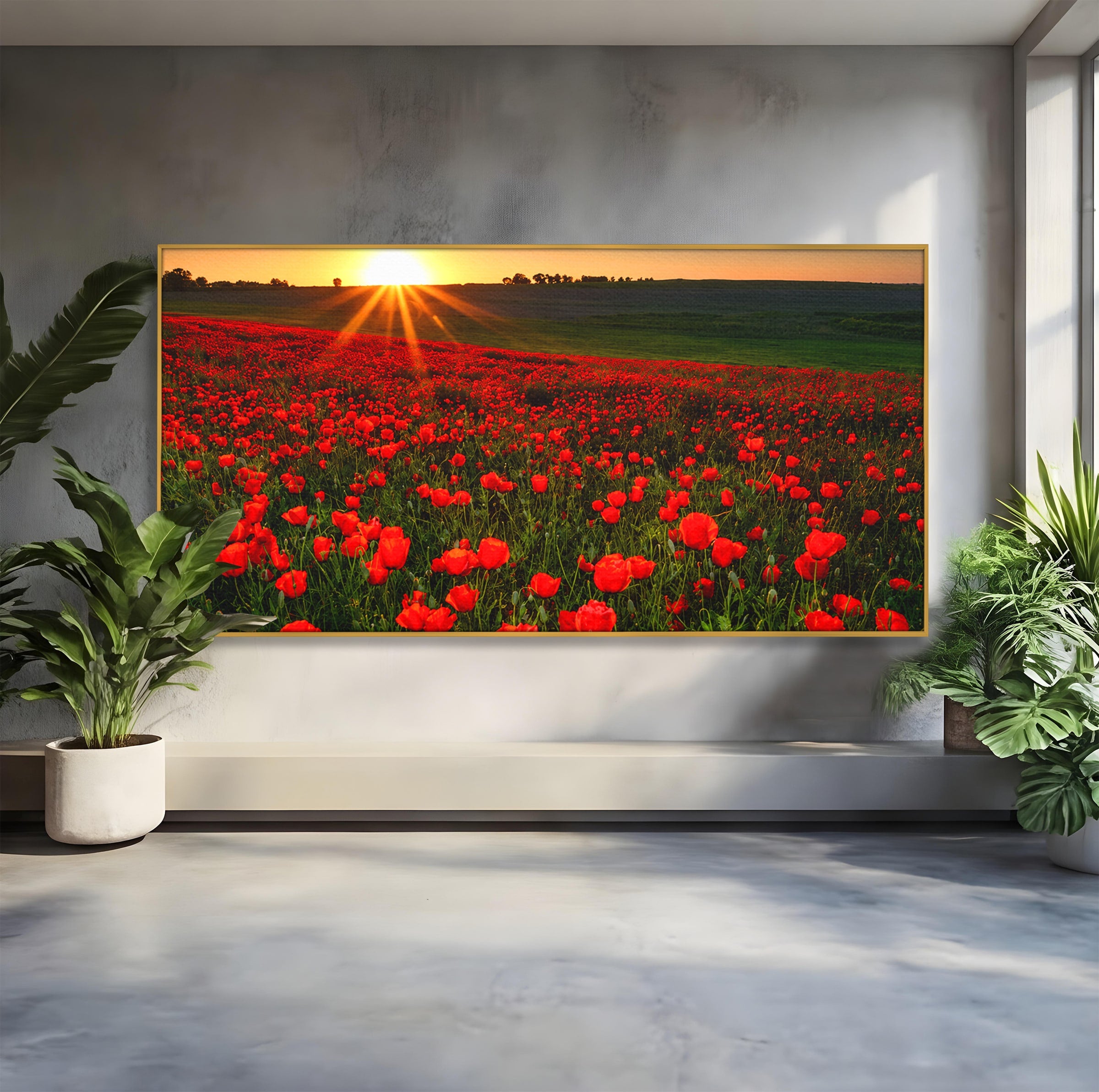 Tablou Canvas Premium LuxCanva® A1753, Camp De Maci La Apus, Maci, Apus, Natura, Peisaj, Romantic, Living, Culori Vibrante