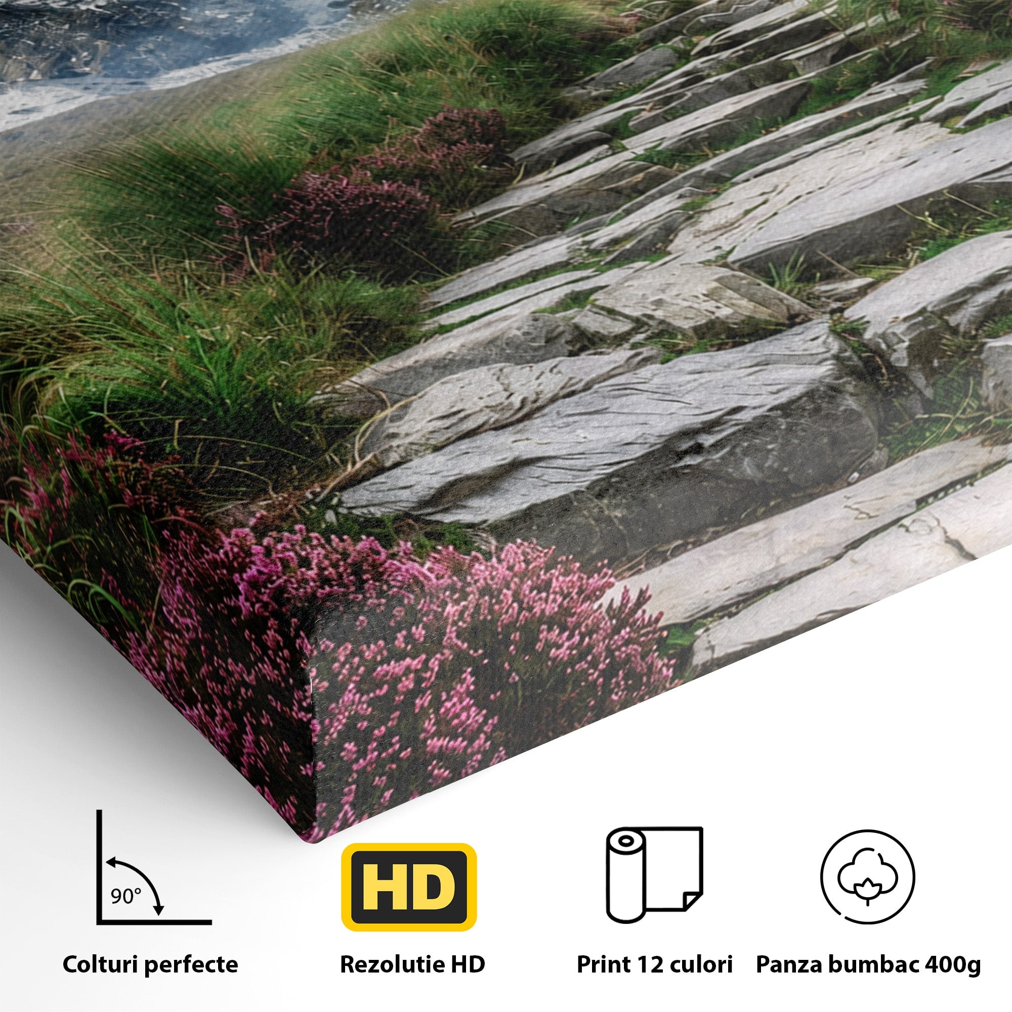 Tablou Canvas Premium LuxCanva® A1760, Poteca Montană, Munti, Poteca, Peisaj, Natura, Living, Culori Vibrante