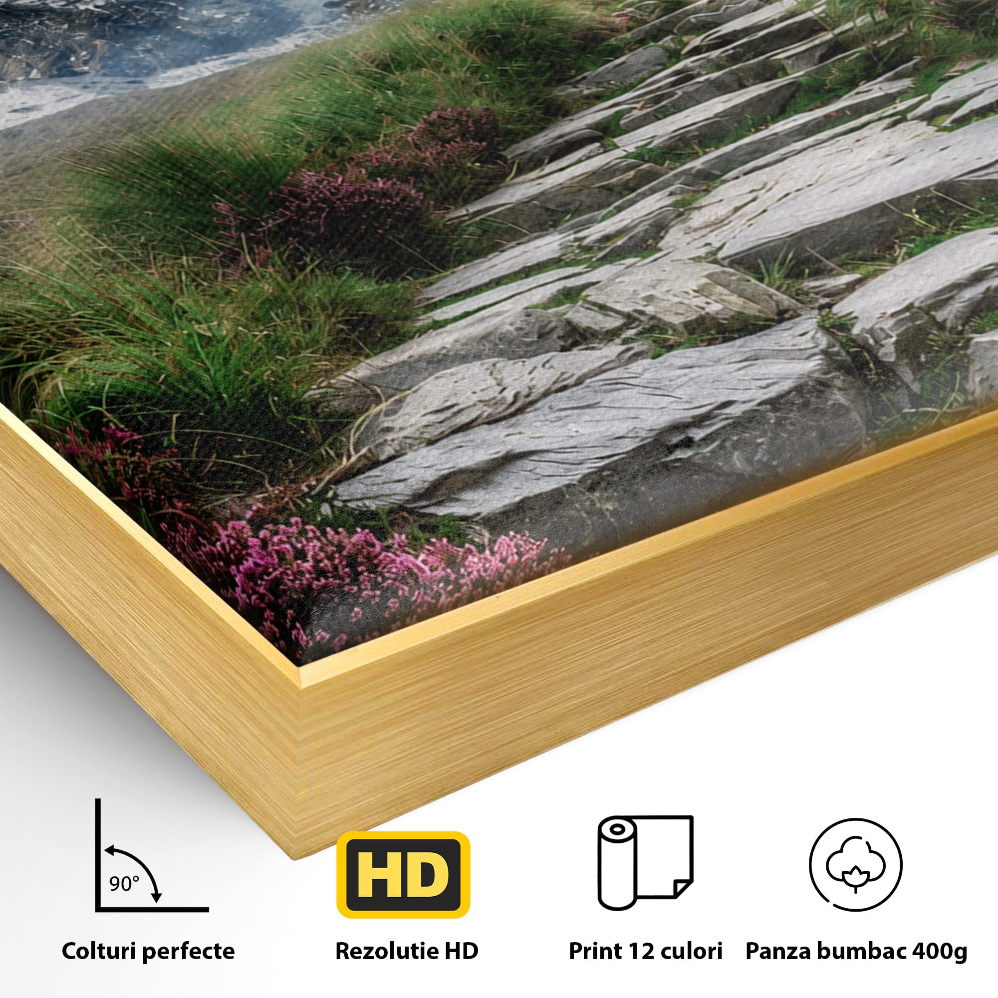 Tablou Canvas Premium LuxCanva® A1760, Poteca Montană, Munti, Poteca, Peisaj, Natura, Living, Culori Vibrante