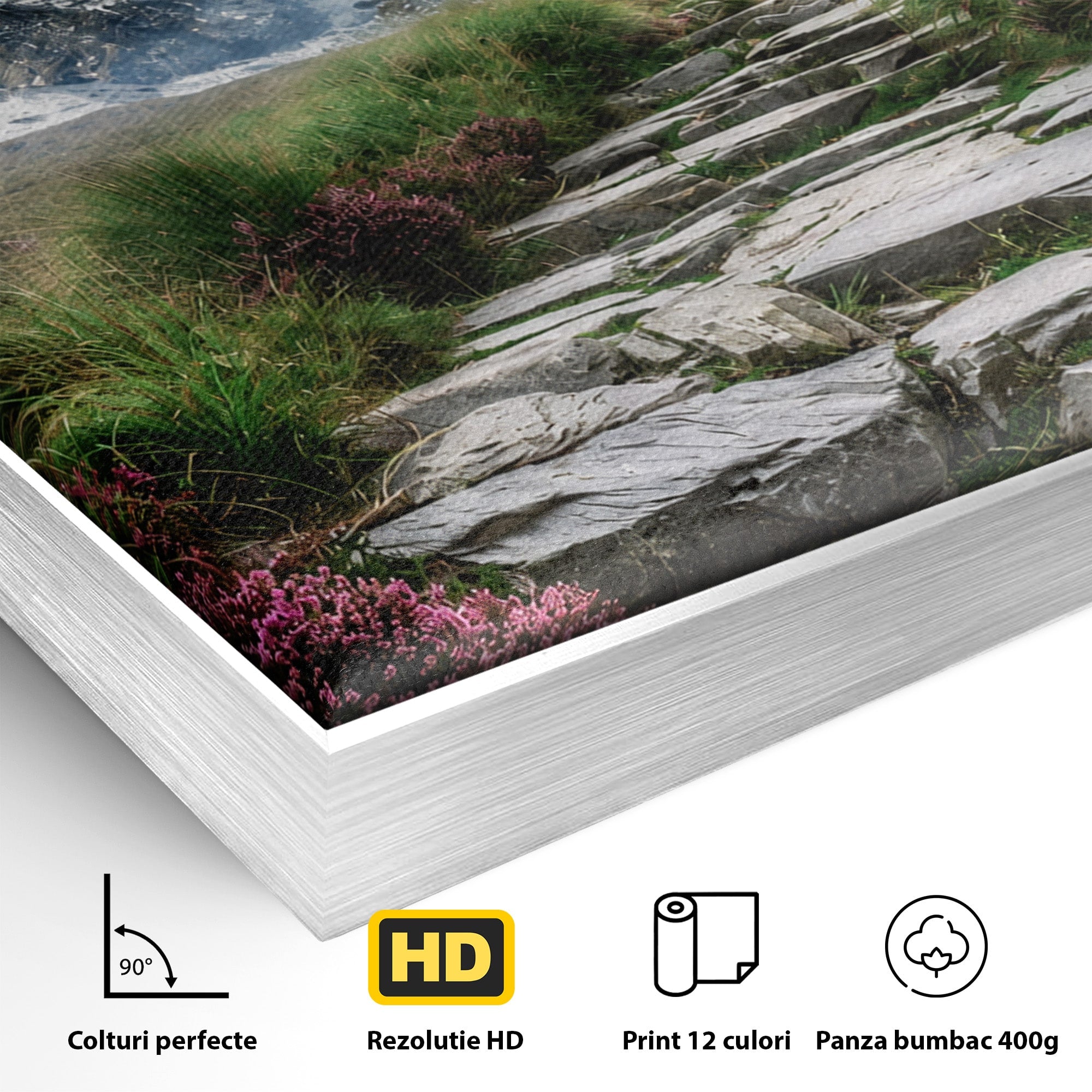 Tablou Canvas Premium LuxCanva® A1760, Poteca Montană, Munti, Poteca, Peisaj, Natura, Living, Culori Vibrante