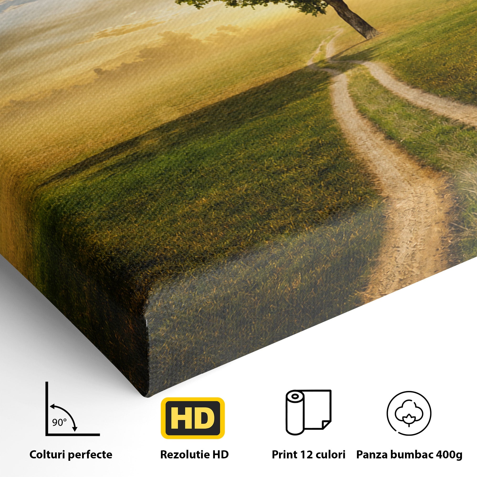 Tablou Canvas Premium LuxCanva® A1767, Drumul Spre Inima Naturii, Copac, Peisaj, Apus, Natura, Living, Culori Vibrante
