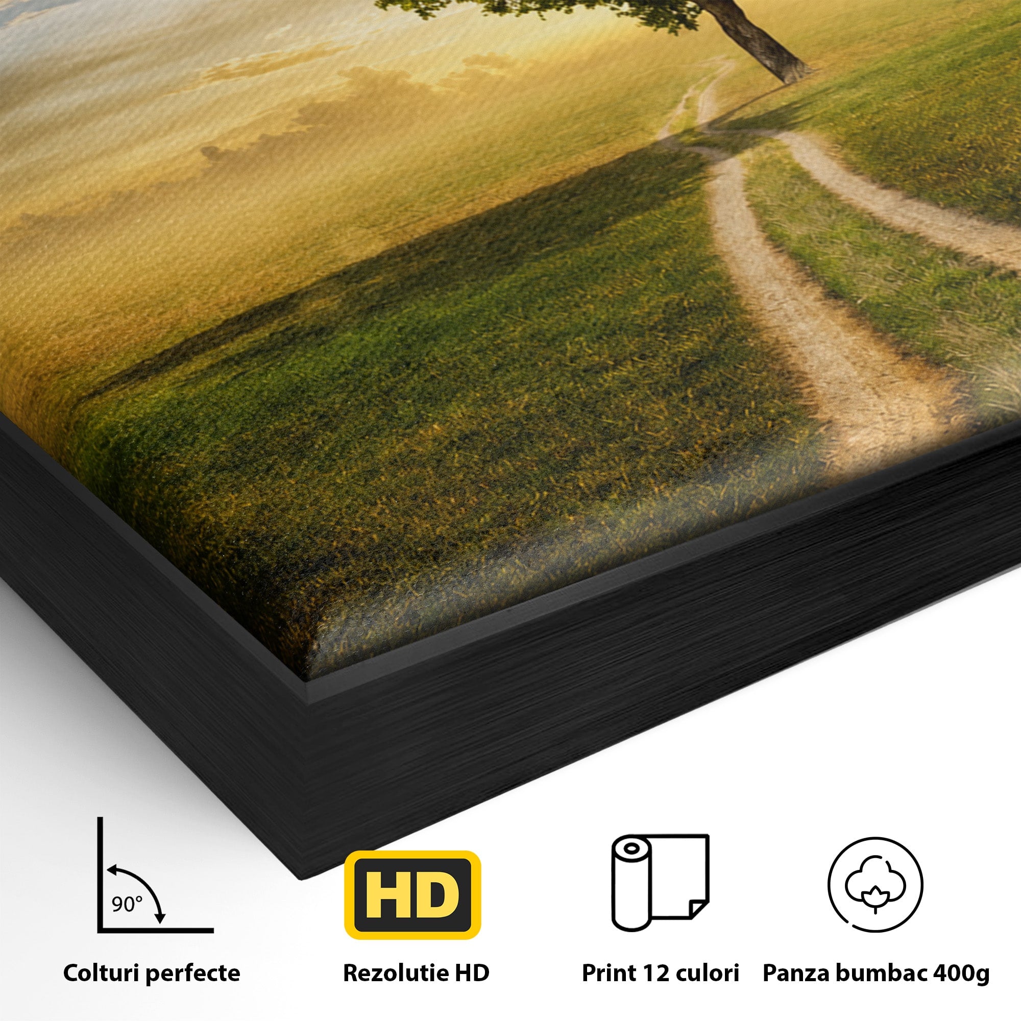 Tablou Canvas Premium LuxCanva® A1767, Drumul Spre Inima Naturii, Copac, Peisaj, Apus, Natura, Living, Culori Vibrante