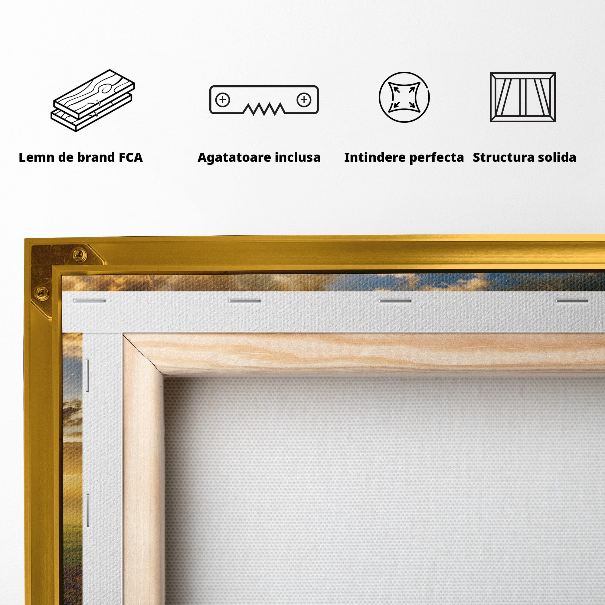 Tablou Canvas Premium LuxCanva® A1767, Drumul Spre Inima Naturii, Copac, Peisaj, Apus, Natura, Living, Culori Vibrante